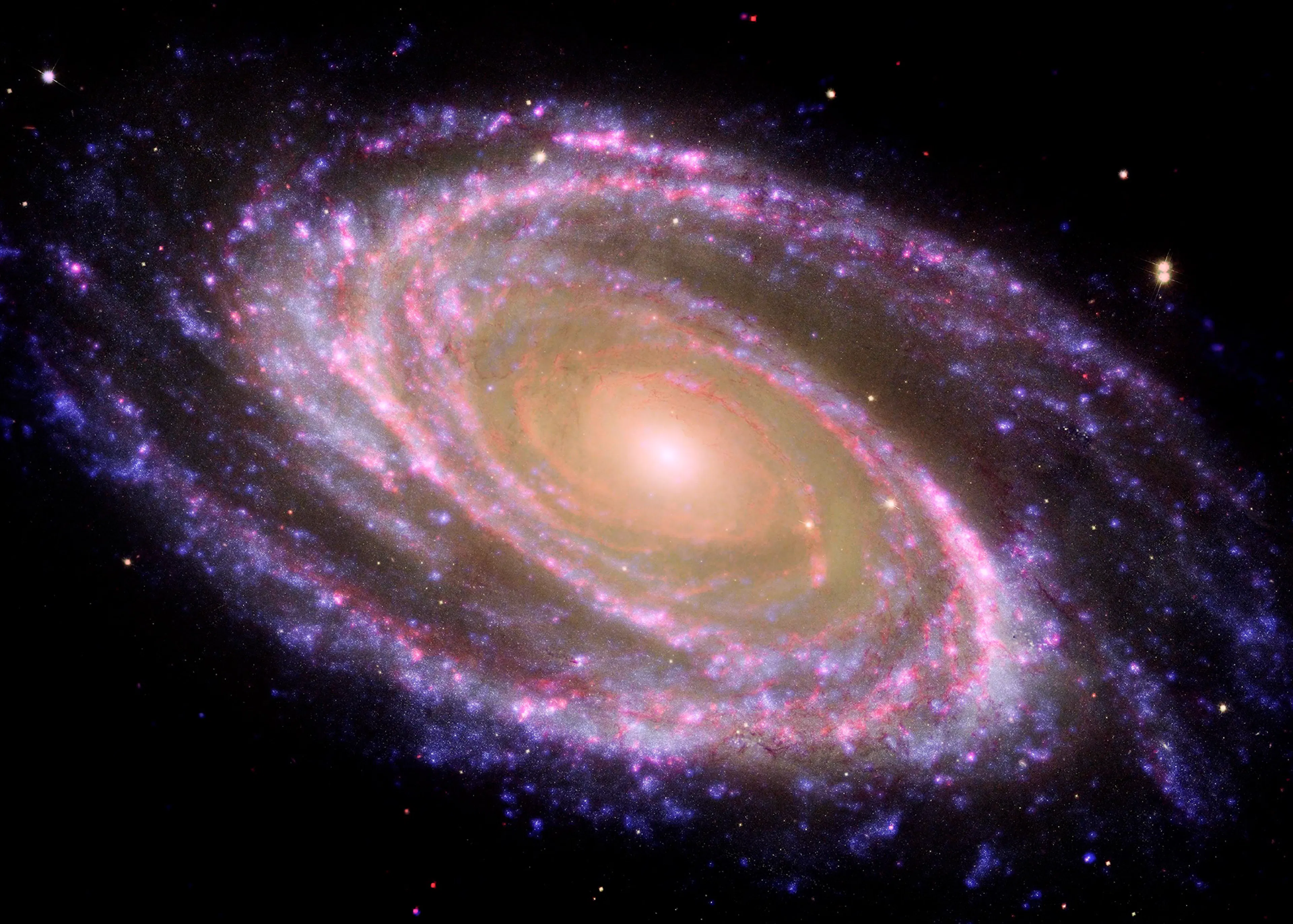 Espiral Galáctica Póster 0