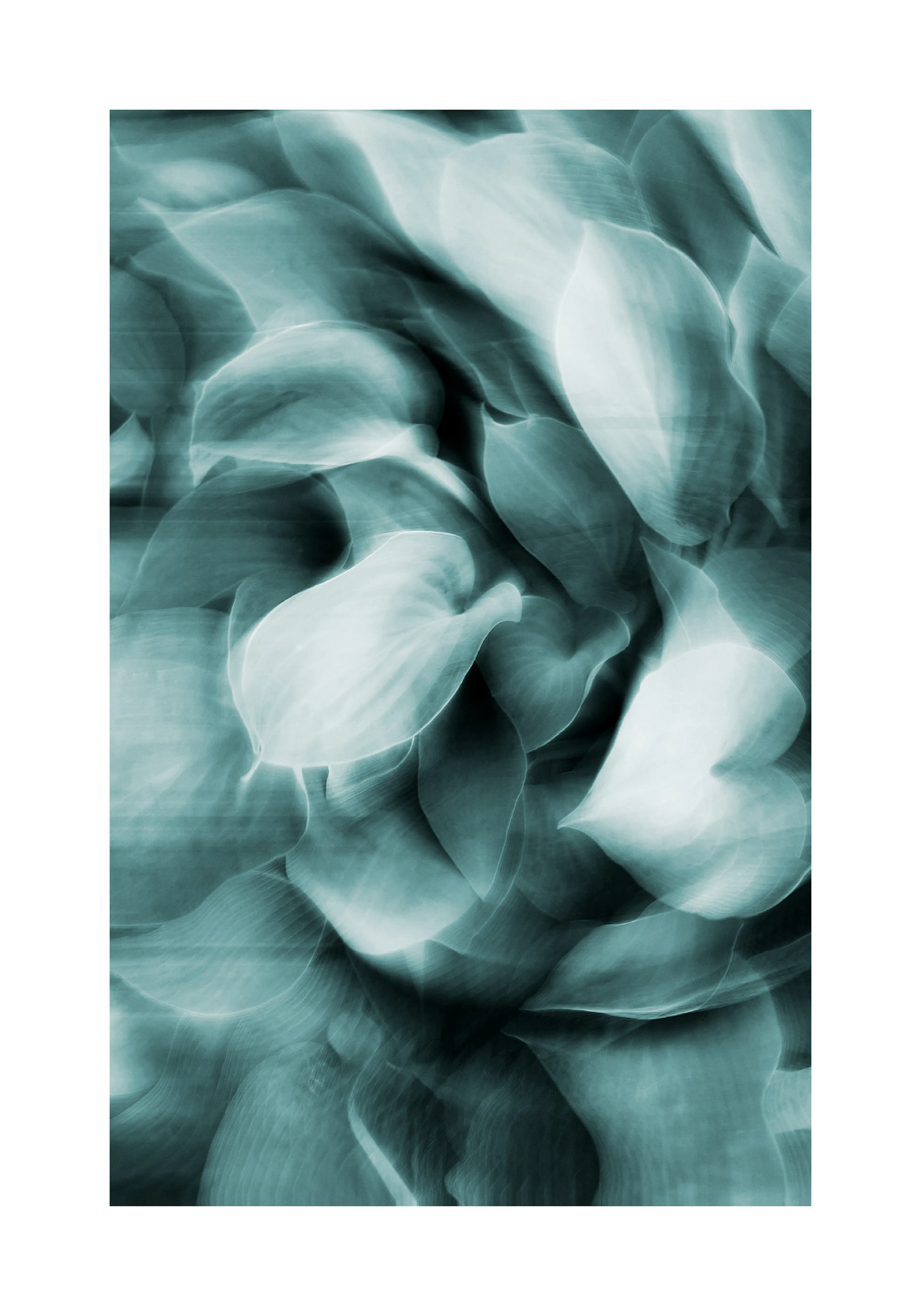 Product image: 1