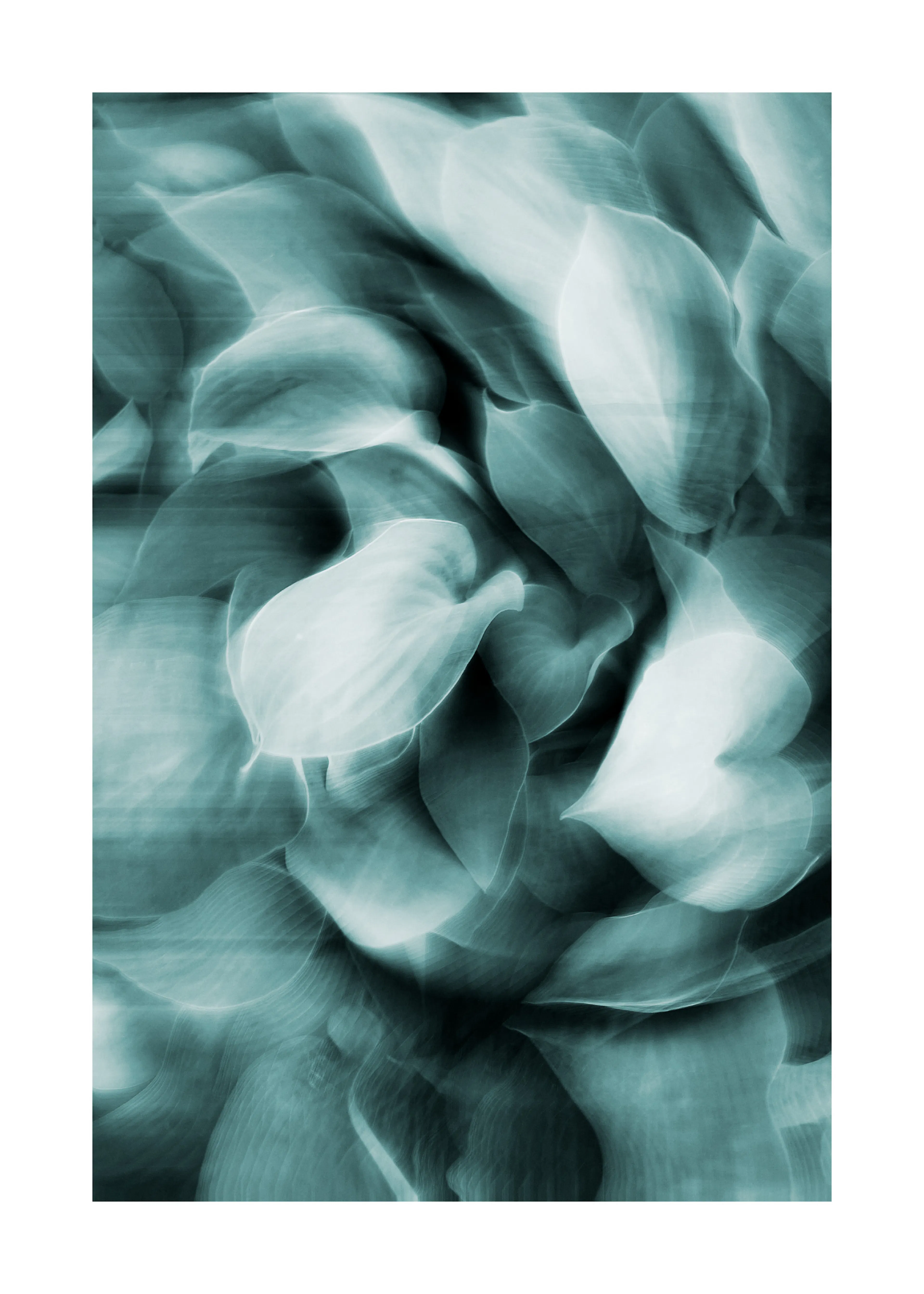 Abstract Blue Flow Poster 0