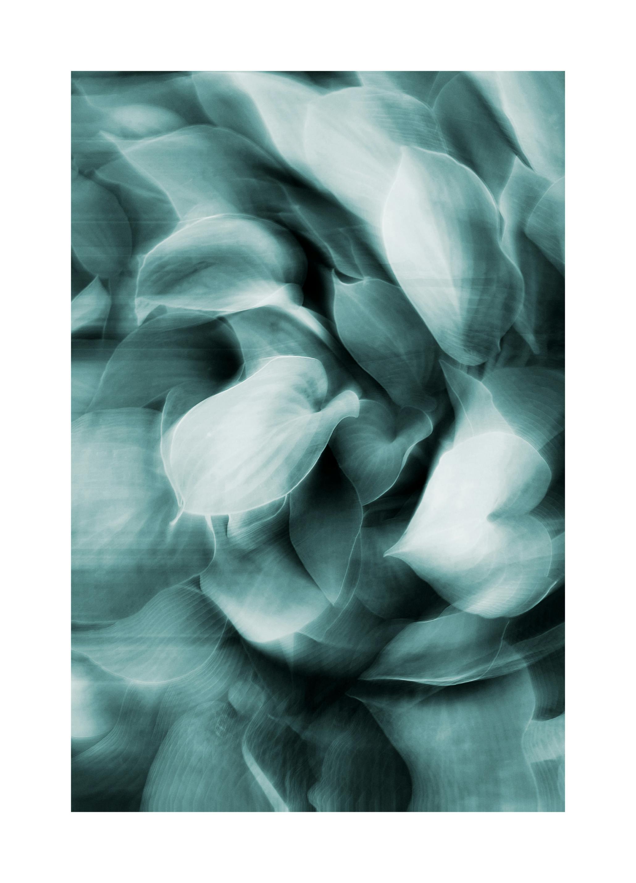 Abstract Blue Flow Poster (70x100 cm) - Poster Store