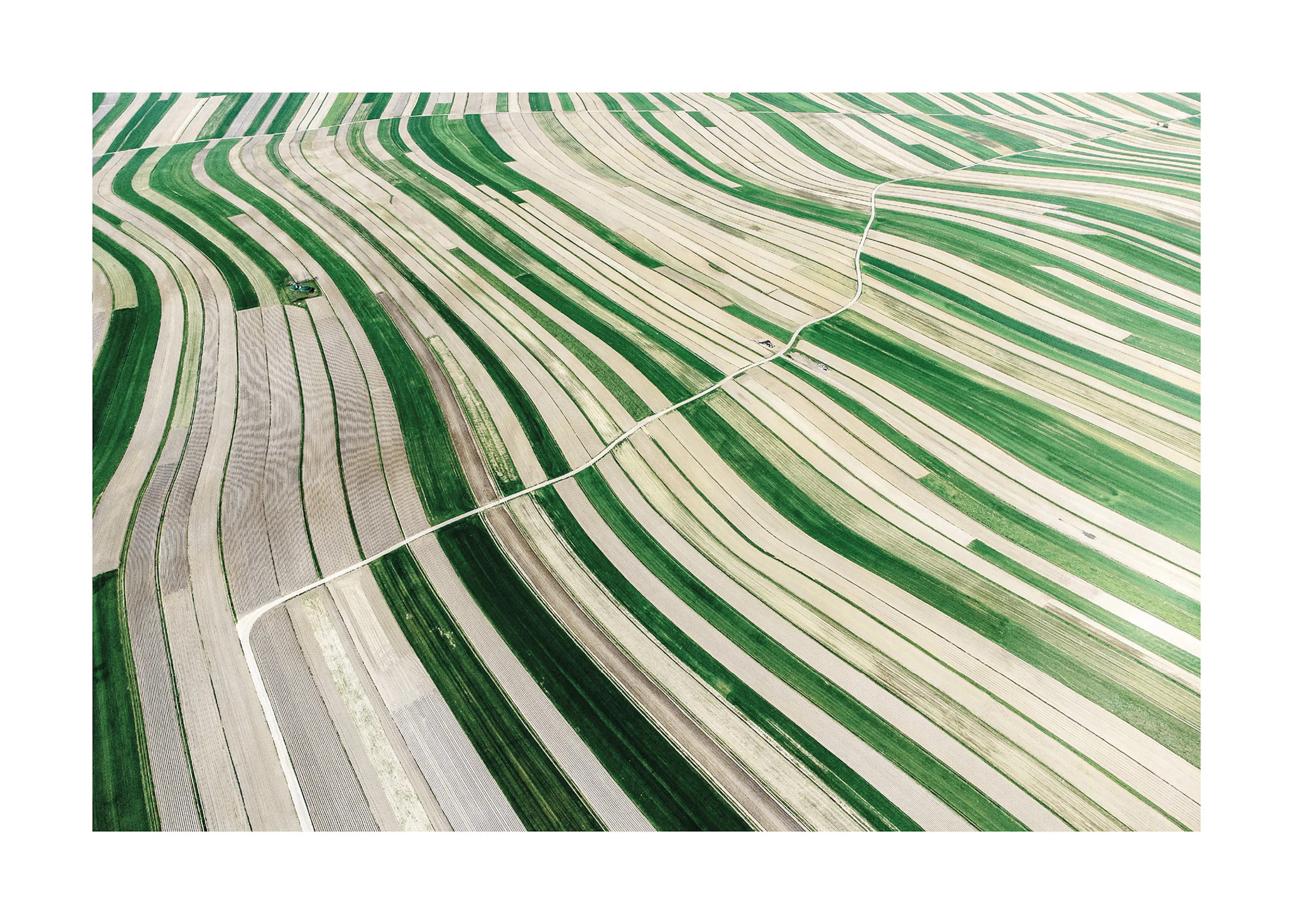 Green Fields Landscape Poster 0