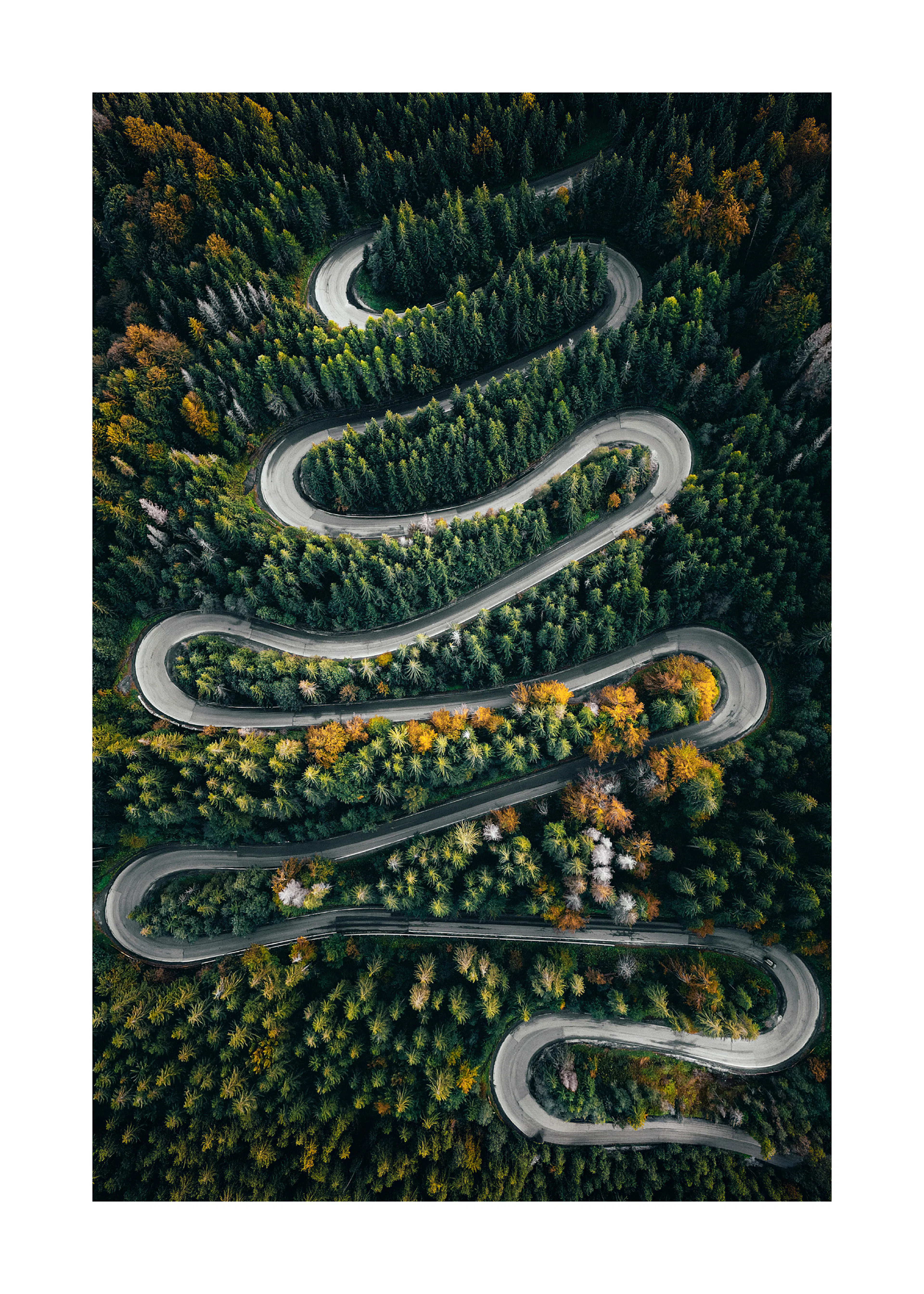 Curvy Mountain Road Poster 0