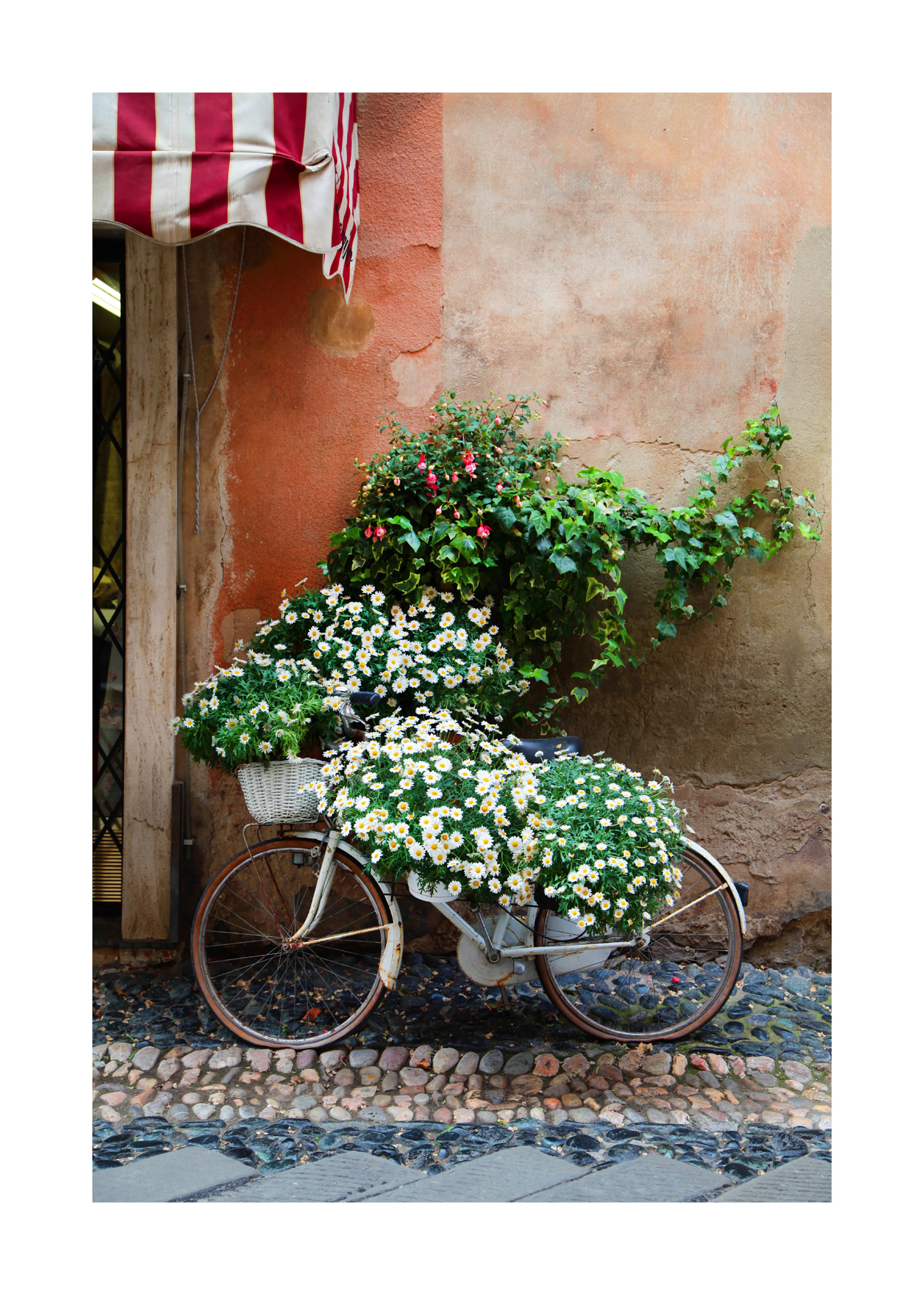 Flower Wall Bicycle Print 0