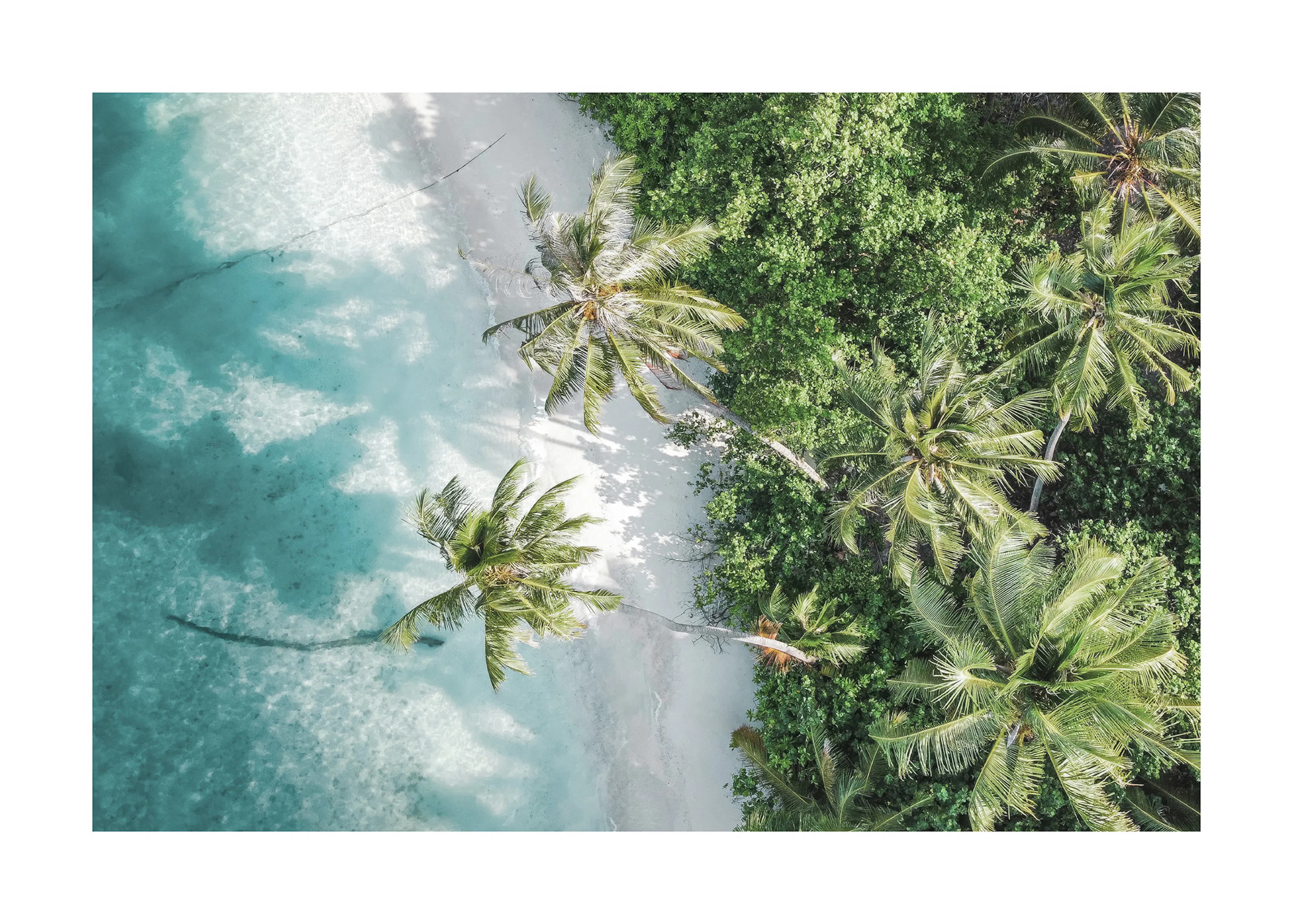 Tropical Beach Paradise Print 0