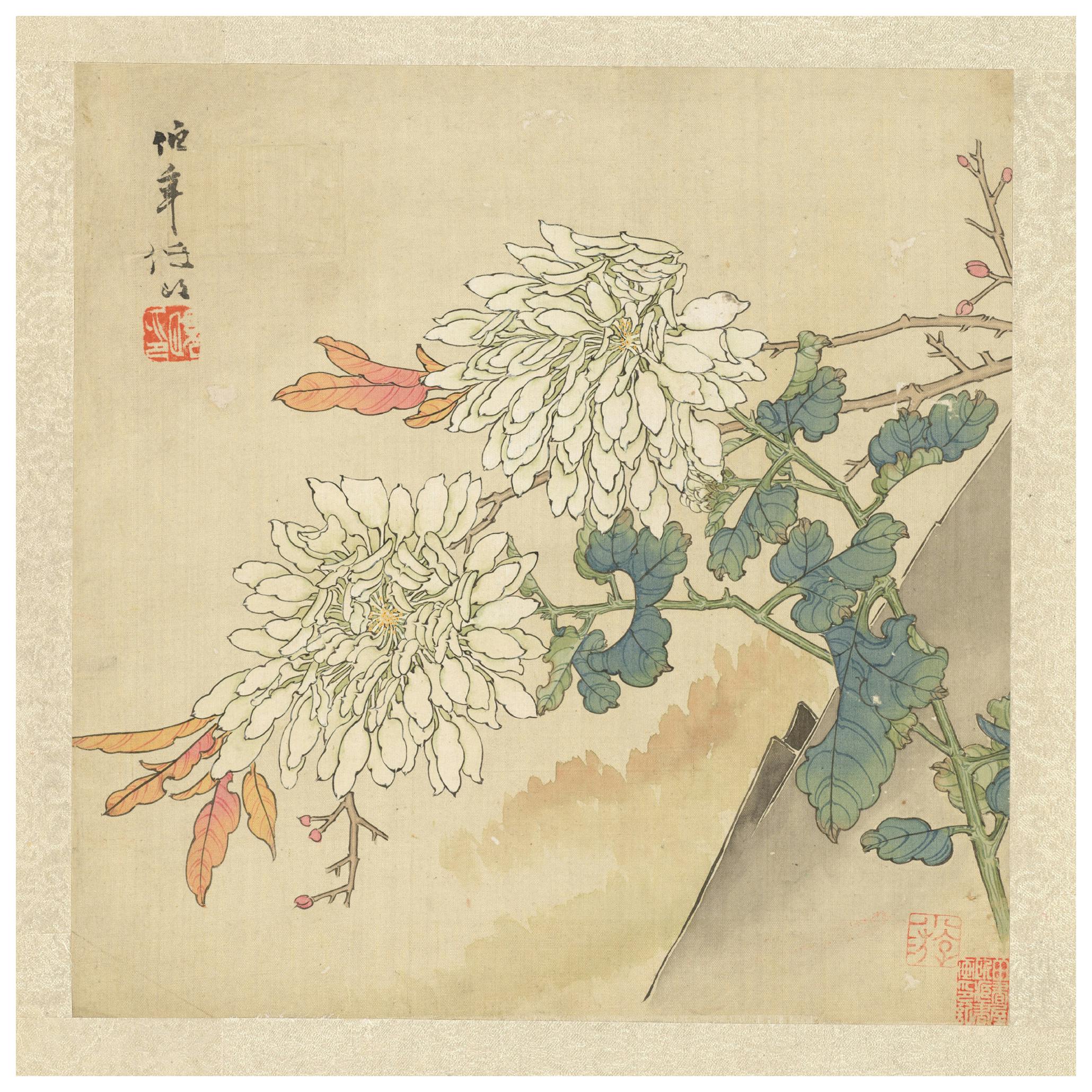 Ren Yi - Flowers and Birds Pl.4 Poster (50x50 cm) - Poster Store