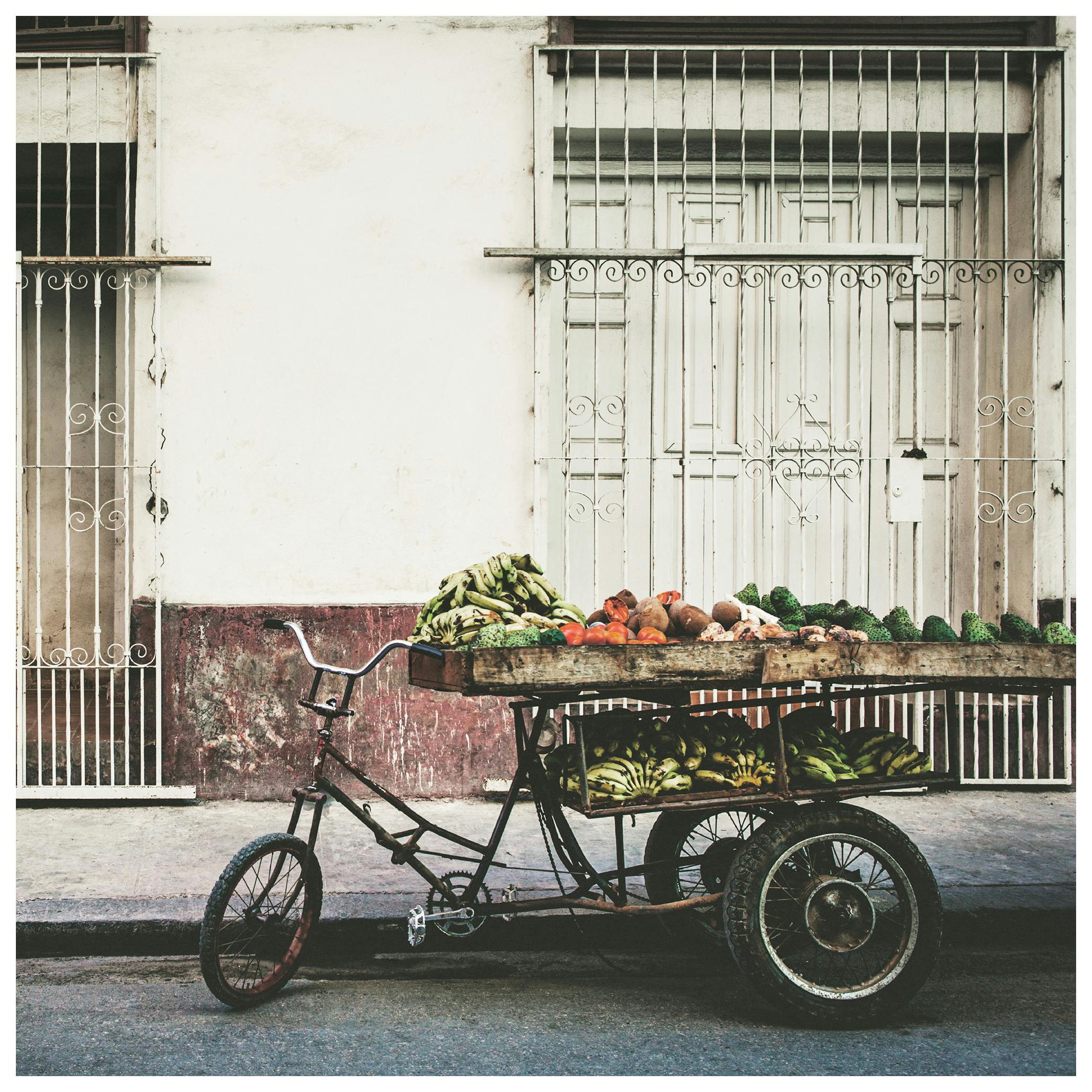 Vintage Vegetable Cart Poster (50x50 cm) - Poster Store