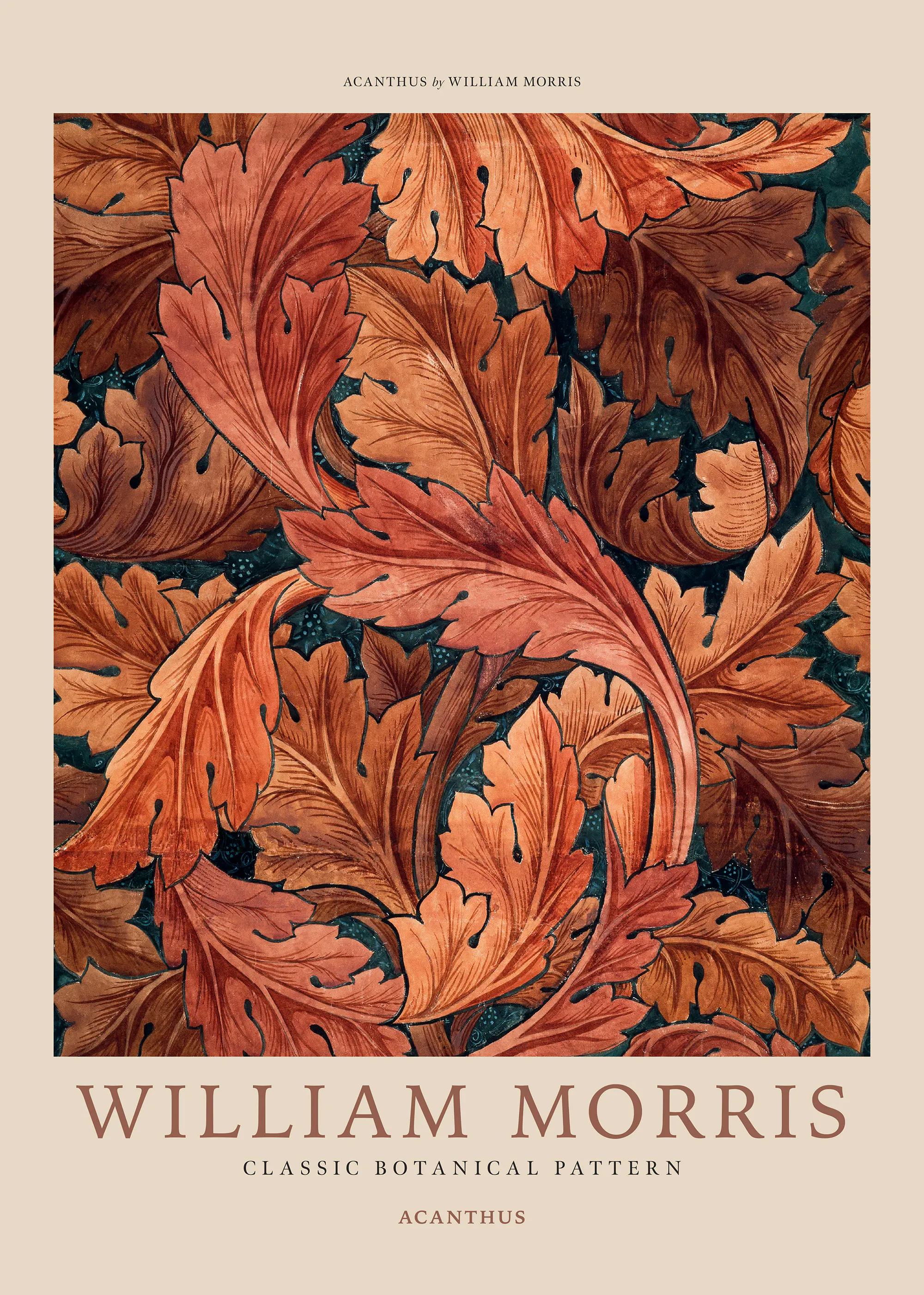 Poster con motivo botanico Acanthus di William Morris, foglie autunnali ramate e marroni su sfondo teal scuro.