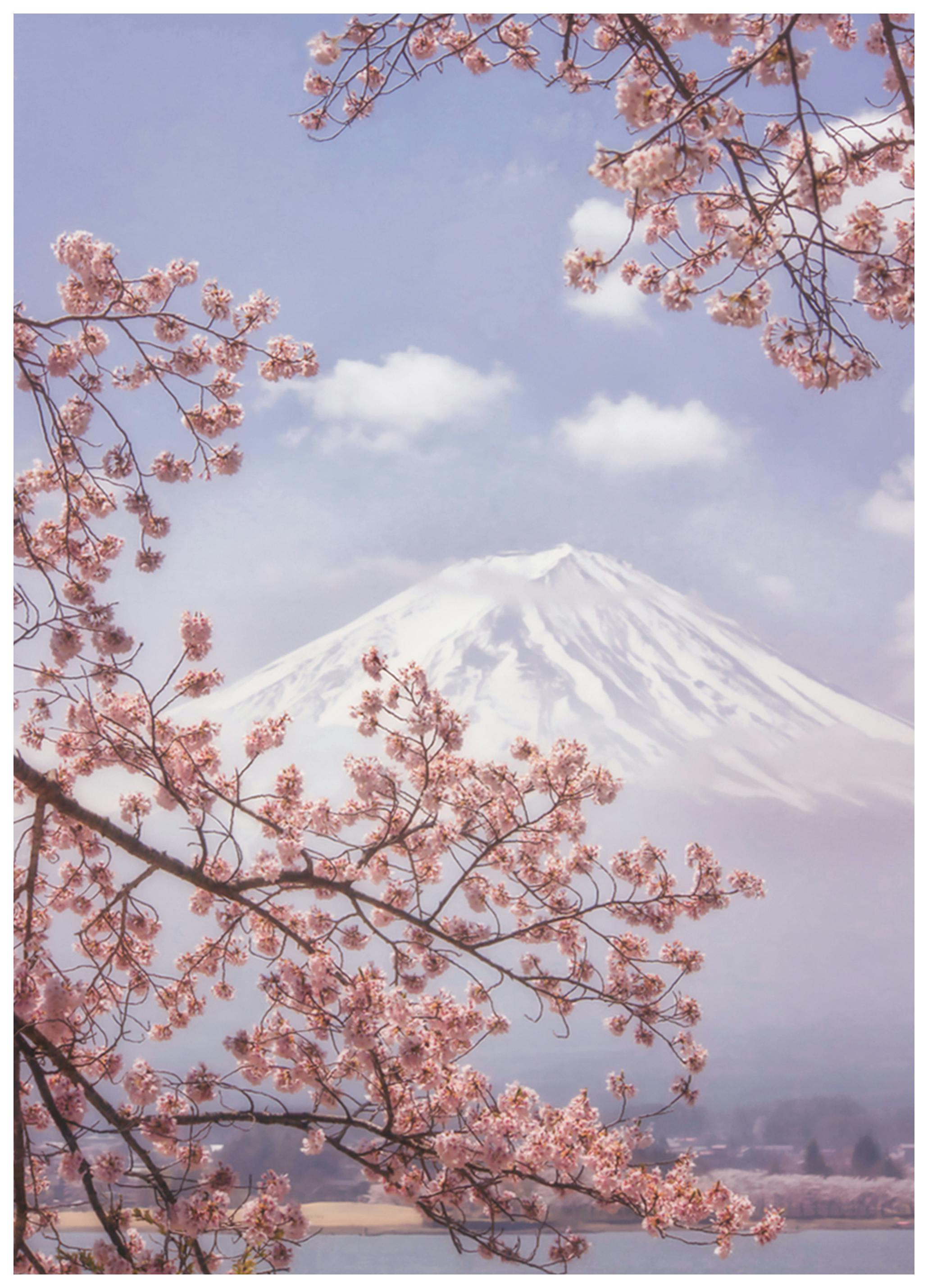 Makiko Samejima - Fuji Kersenbloesems Poster (50x70 cm) - Poster Store