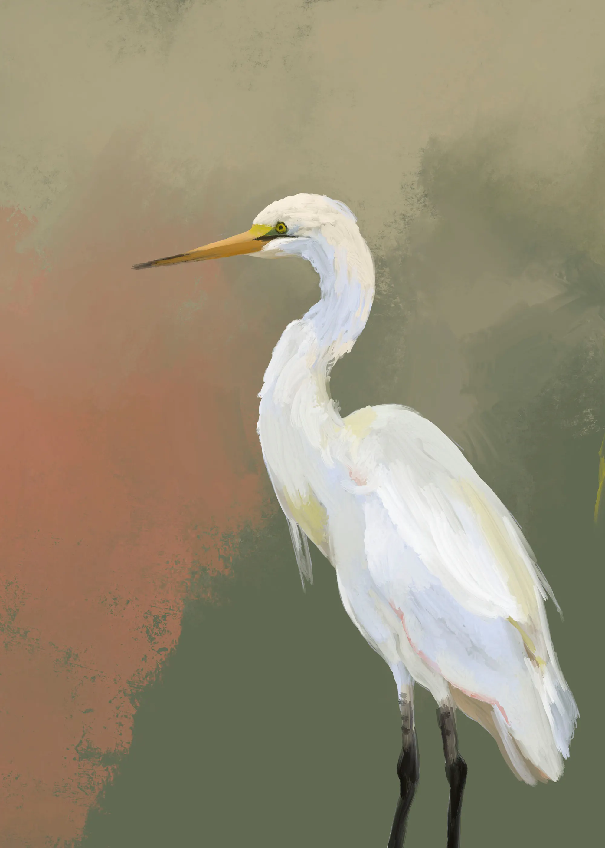 Josie George - Elegant Egret Portrait Poster 0