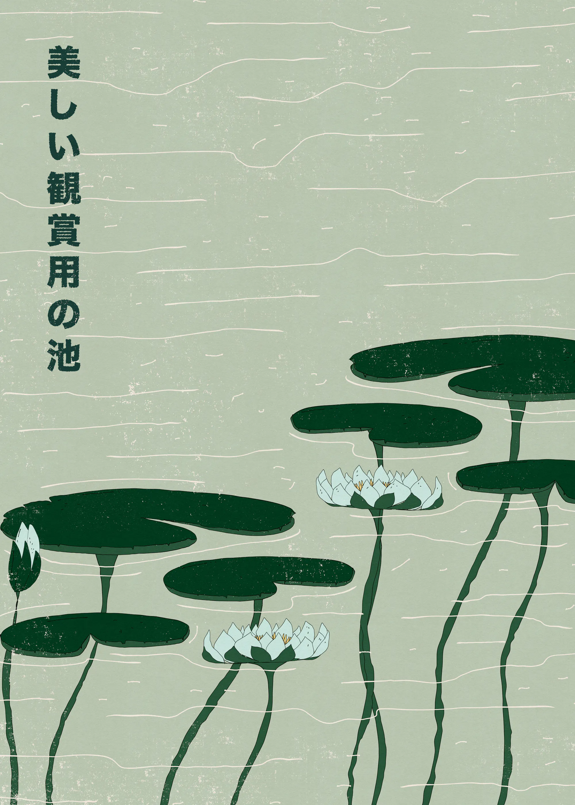 Nicholas - Japanese Water Lilies Poster 0
