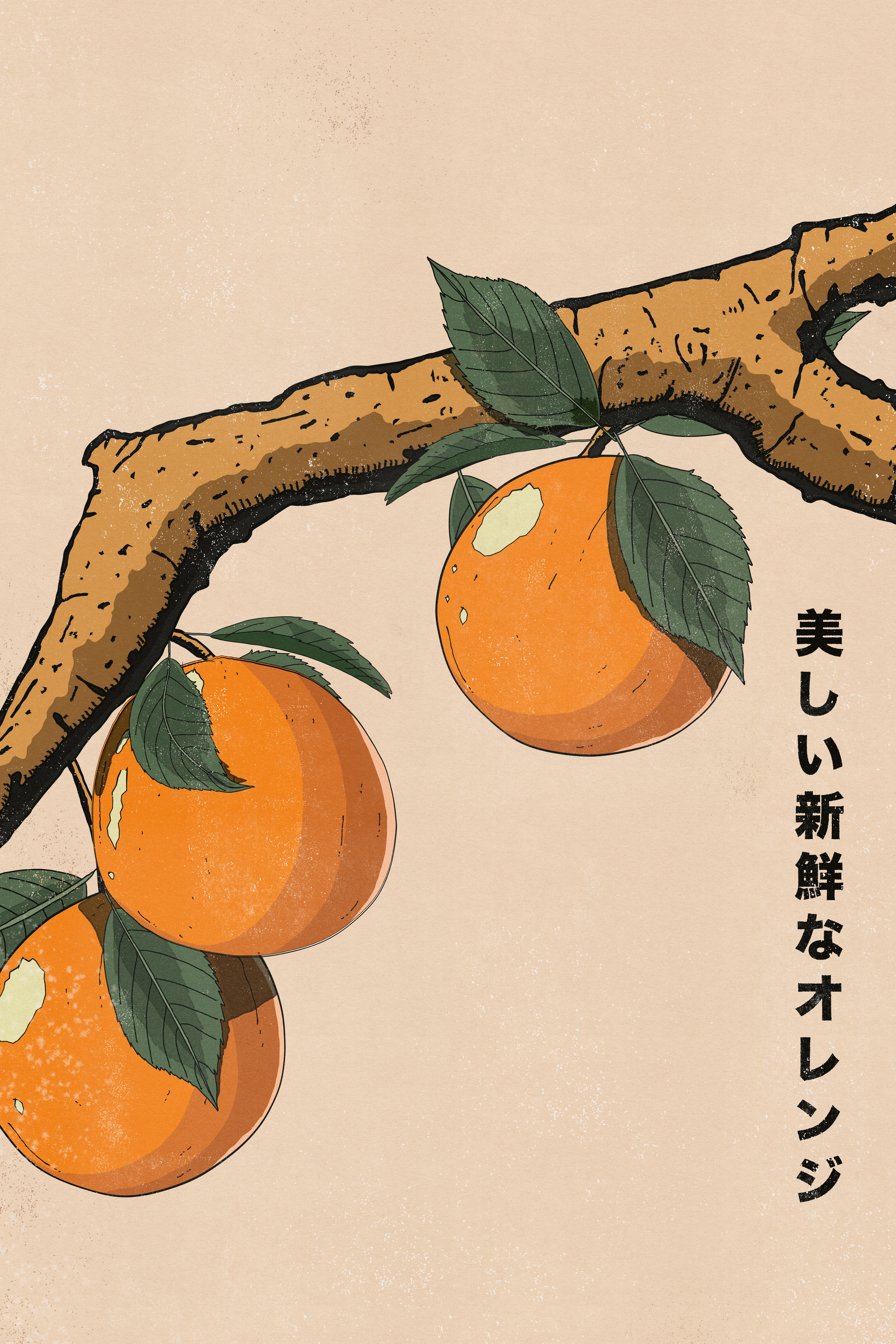 Nicholas - Beautiful Fresh Oranges Poster