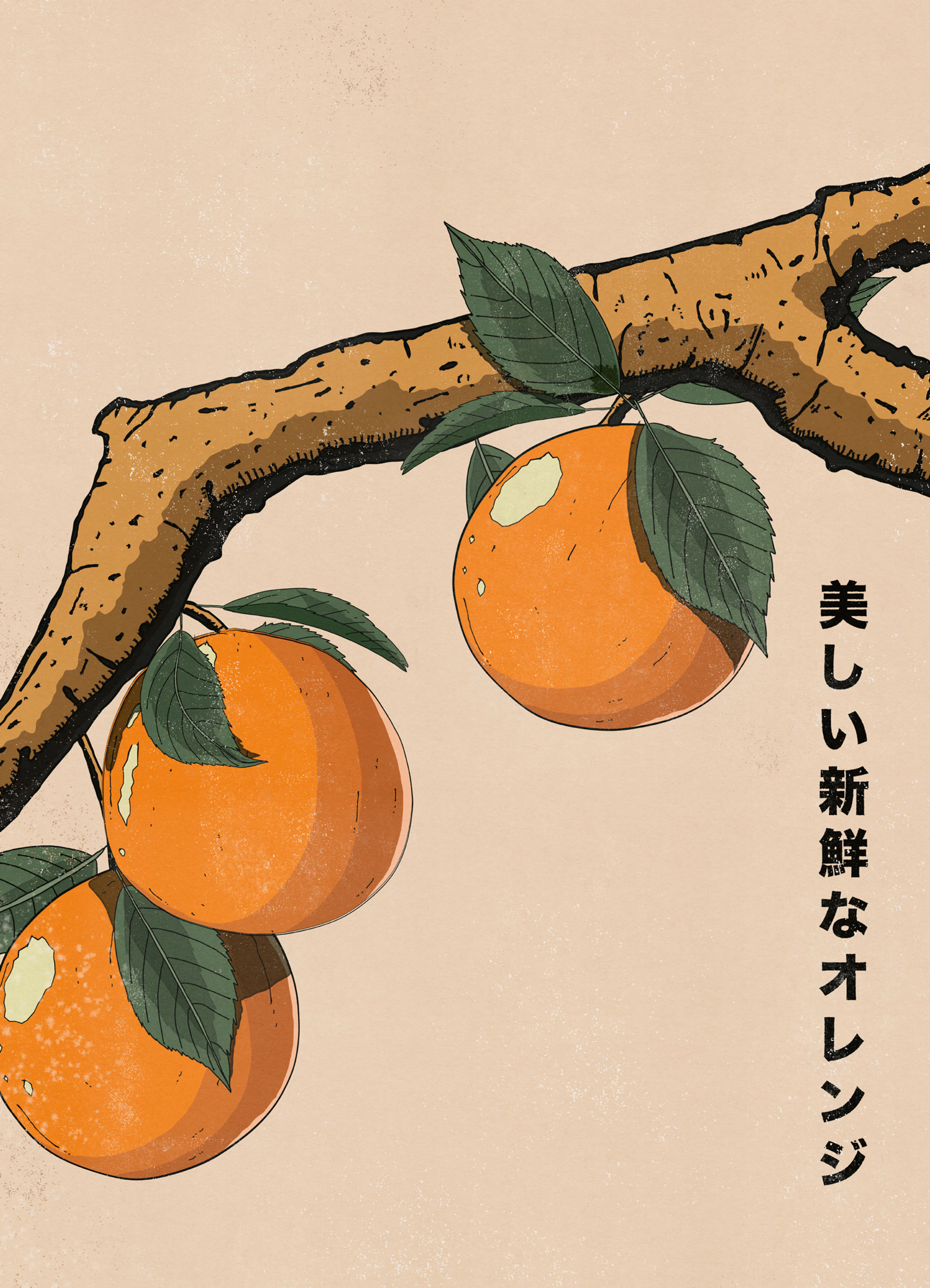 Product image: 1