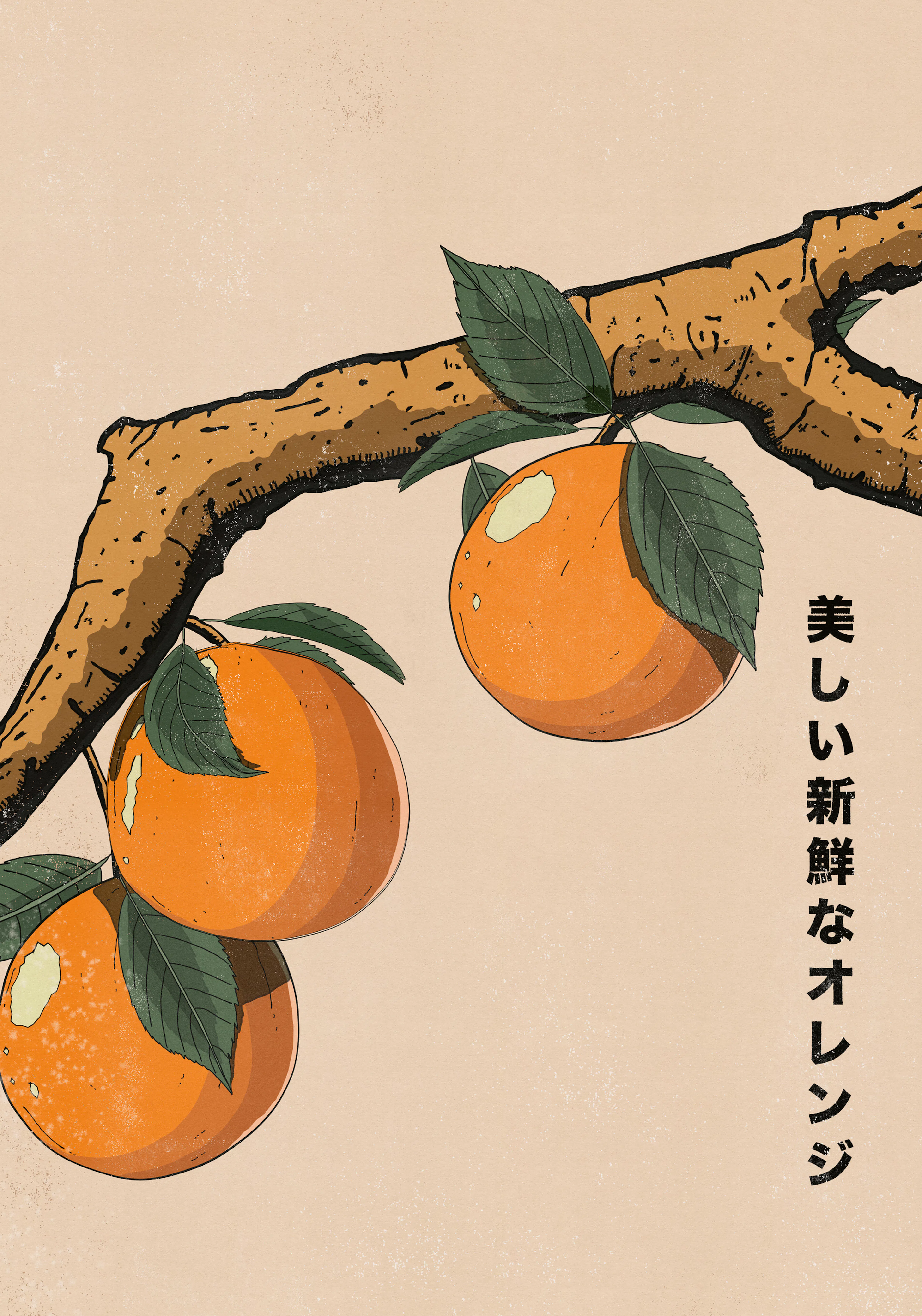 Product image: 1