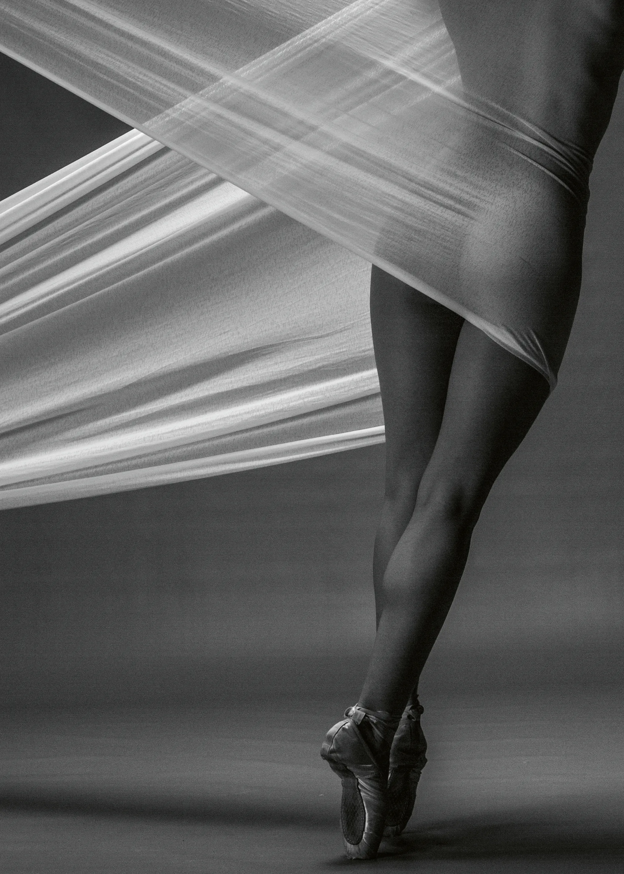 Malvin Jan Dyb - Graceful Ballet Form Poster 0