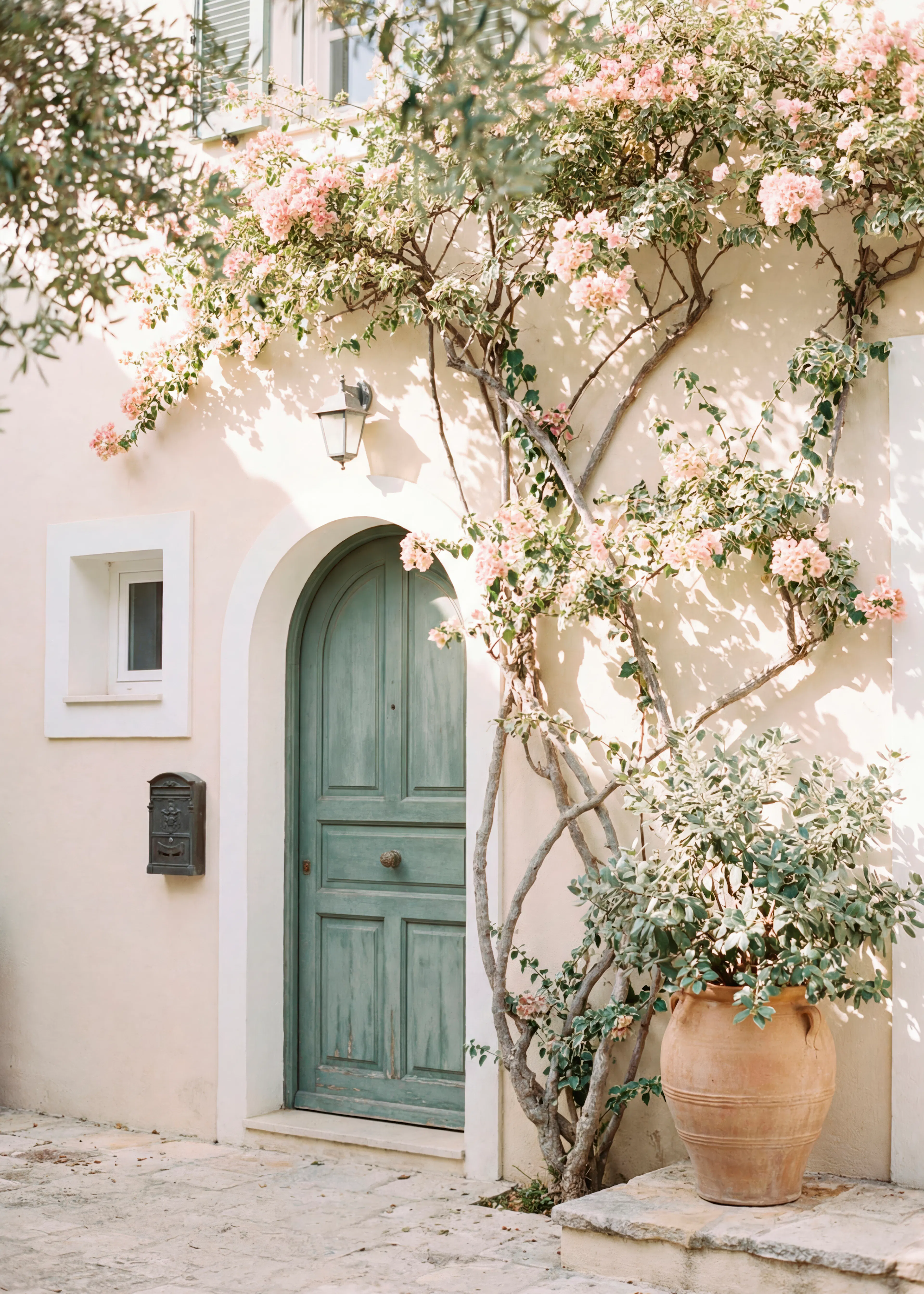 Andreas Magnusson - Green Door Bougainvillea Flowers Poster 0