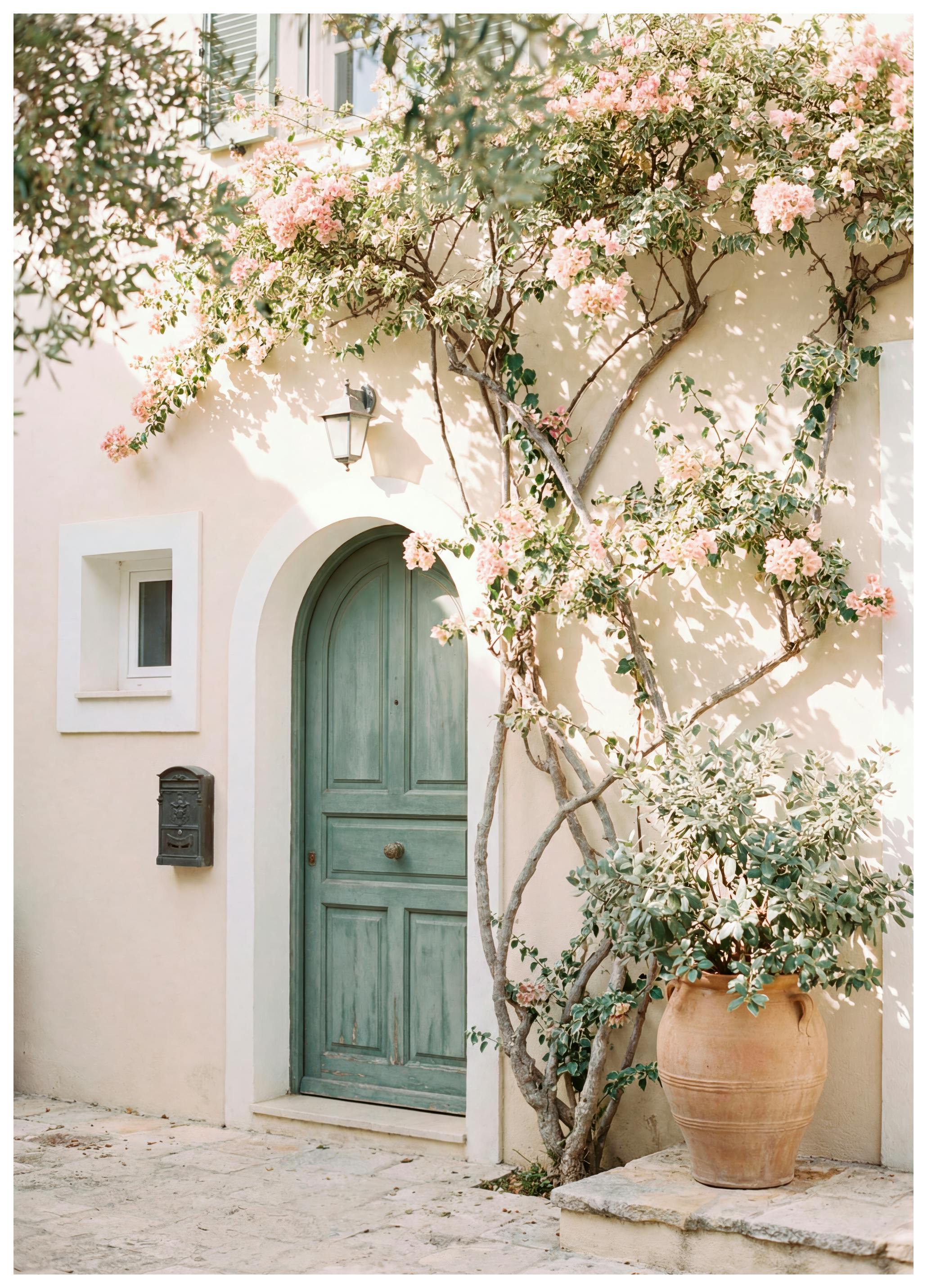 Andreas Magnusson - Green Door Bougainvillea Flowers Poster (70x100 cm) - Poster Store