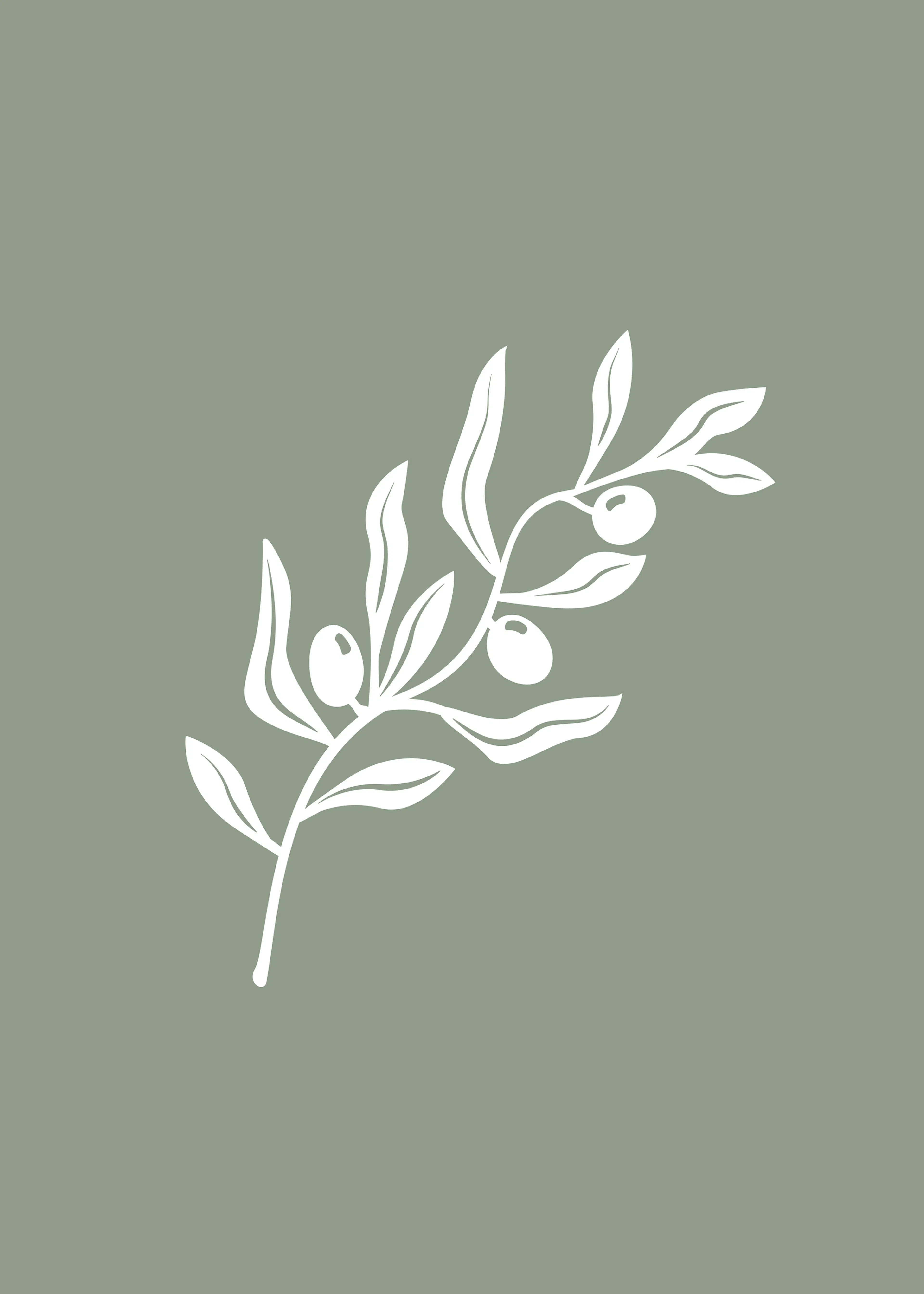Karen Menzenbach - Olive Branch Sage Poster 0
