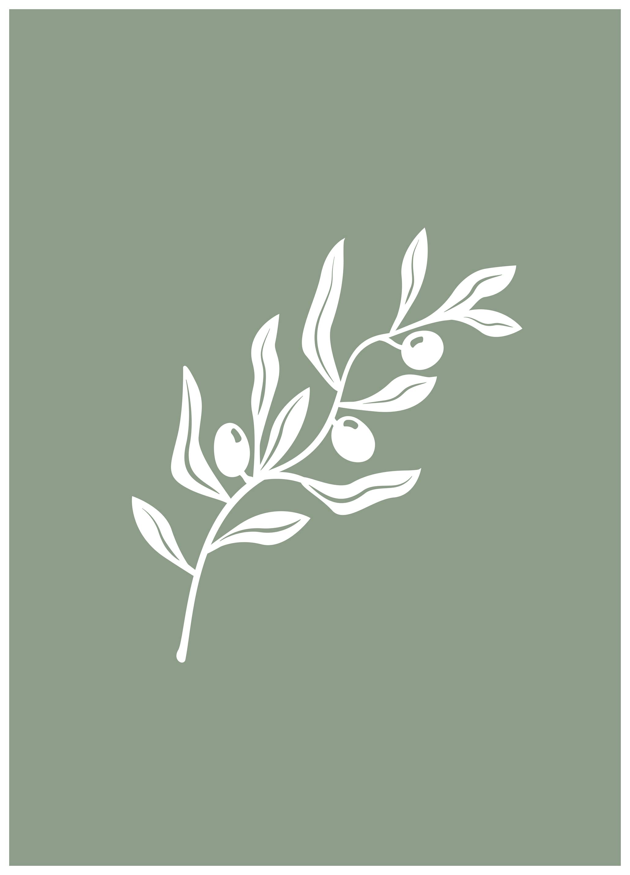 Karen Menzenbach - Olive Branch Sage Poster (70x100 cm) - Poster Store