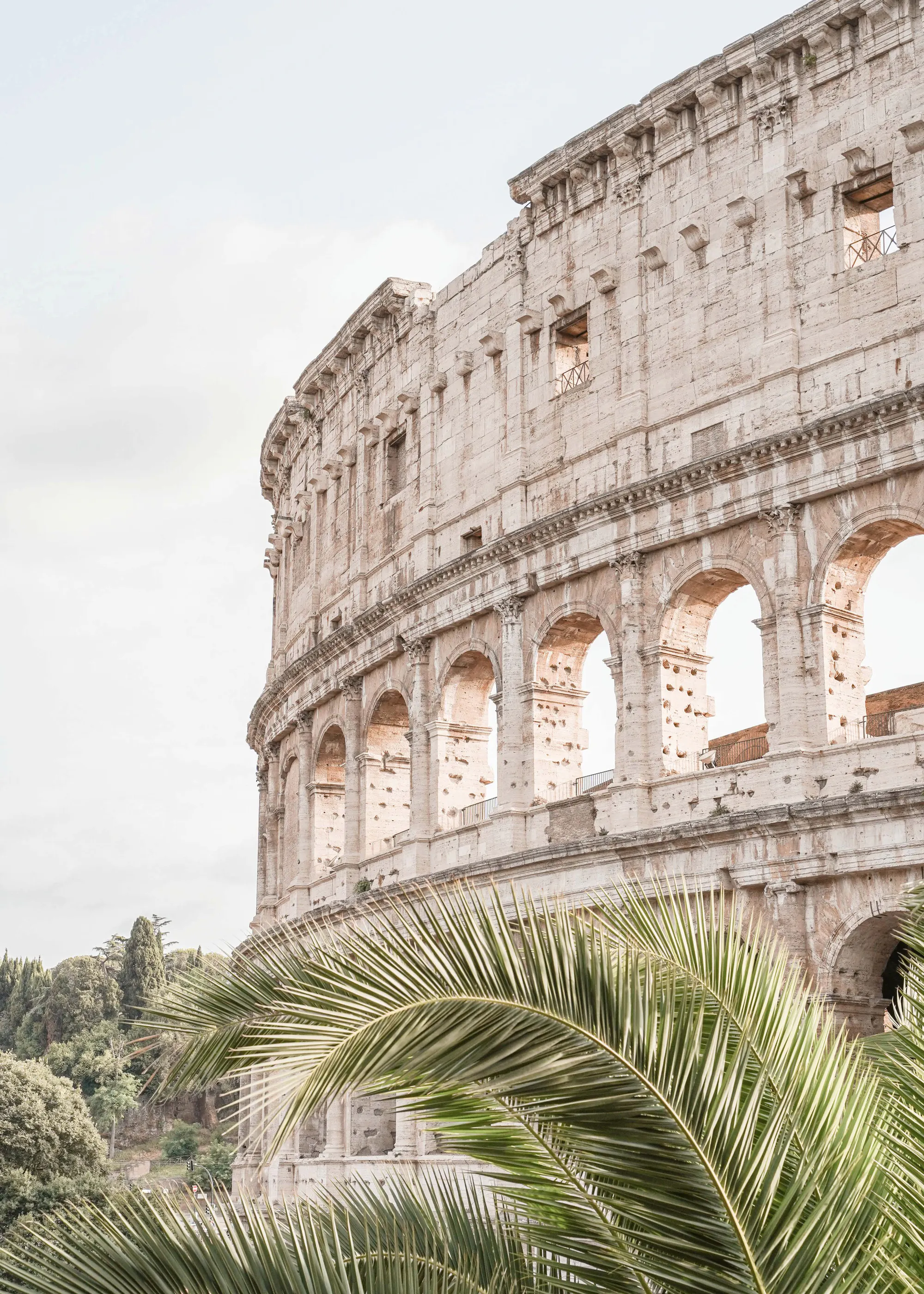 Henrike Schenk - Colosseum Palm View Poster 0