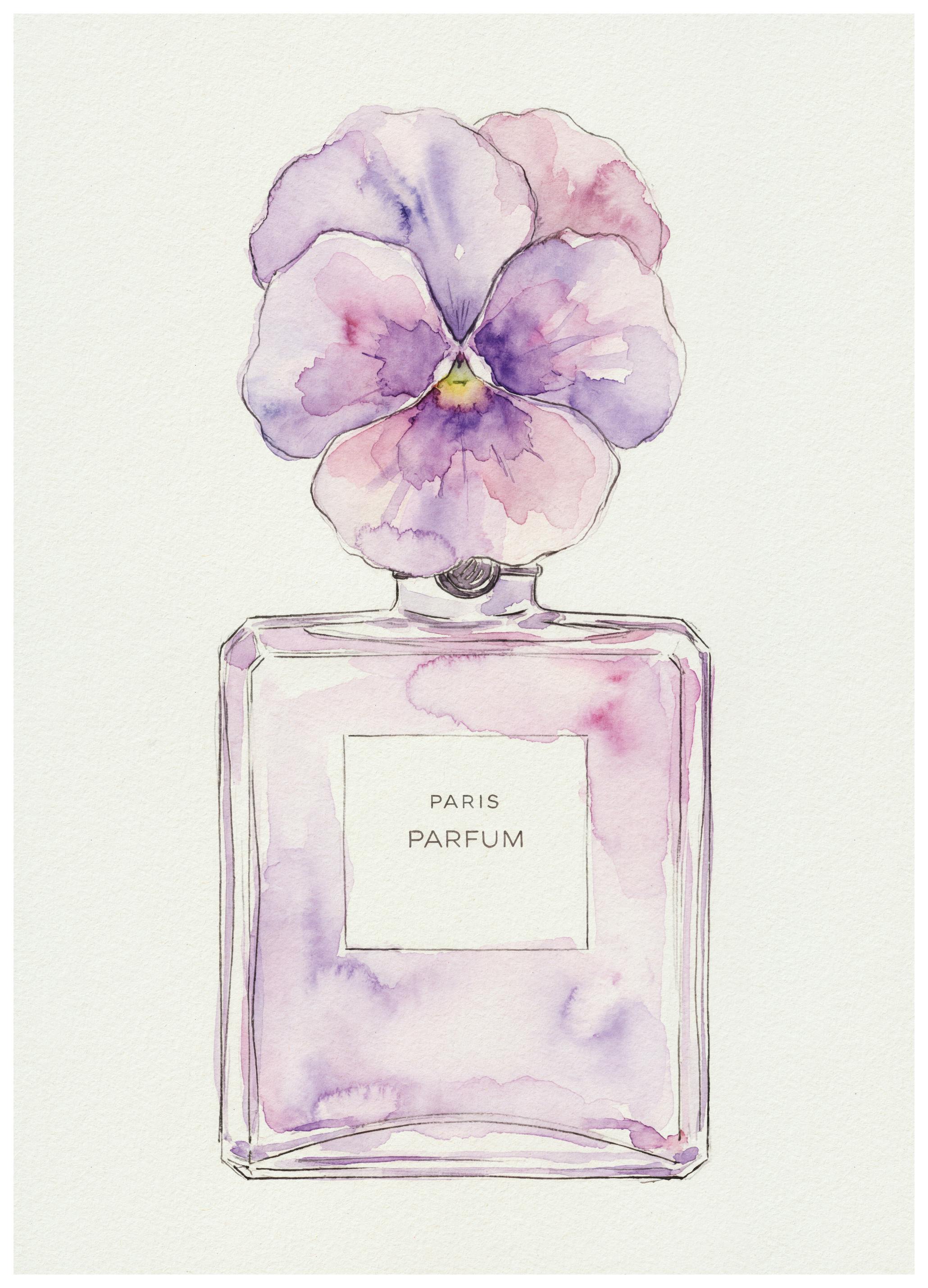 Andreas Magnusson - Pansy Paris Perfume Poster (21x30 cm) - Poster Store