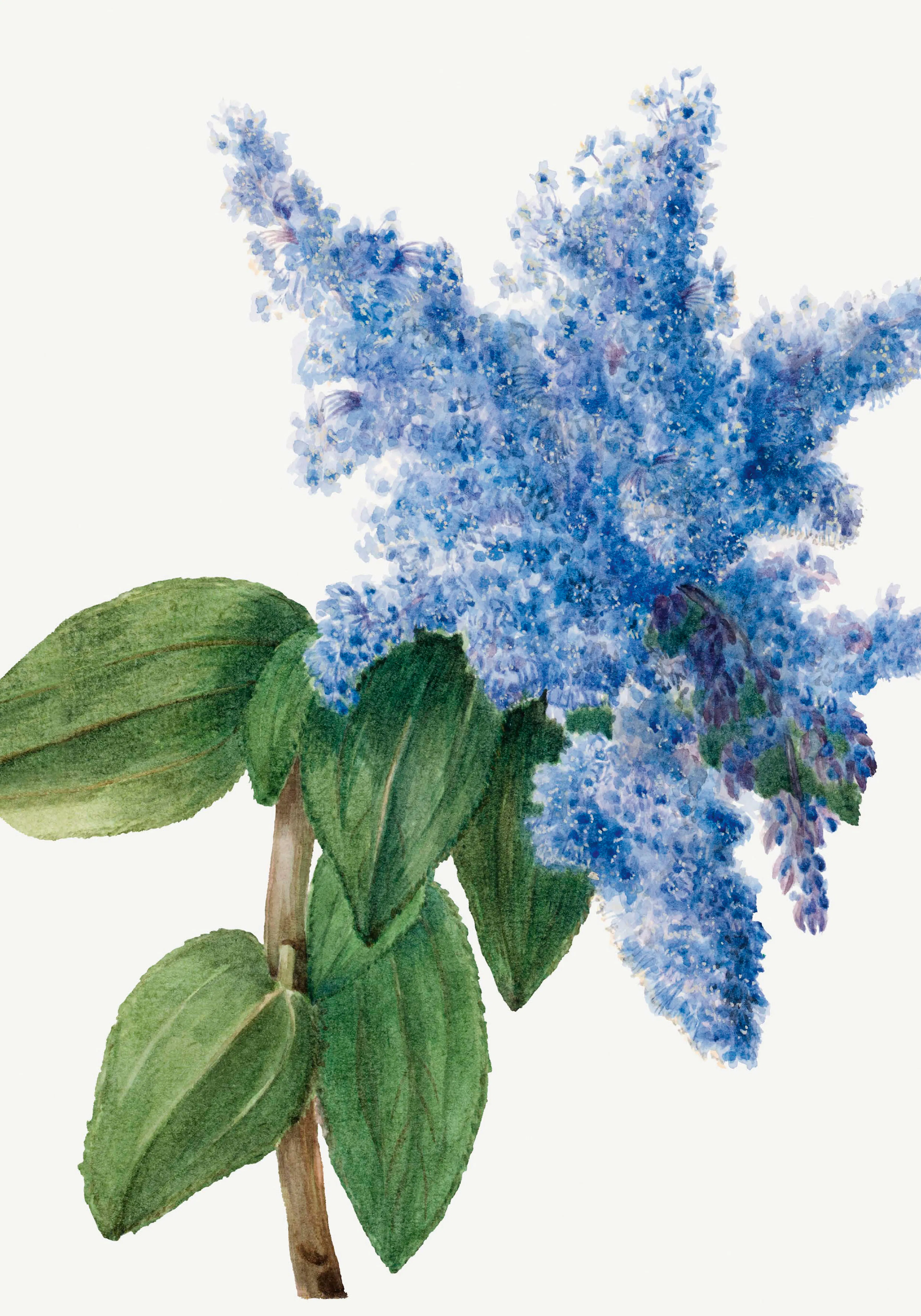 Product image: 1