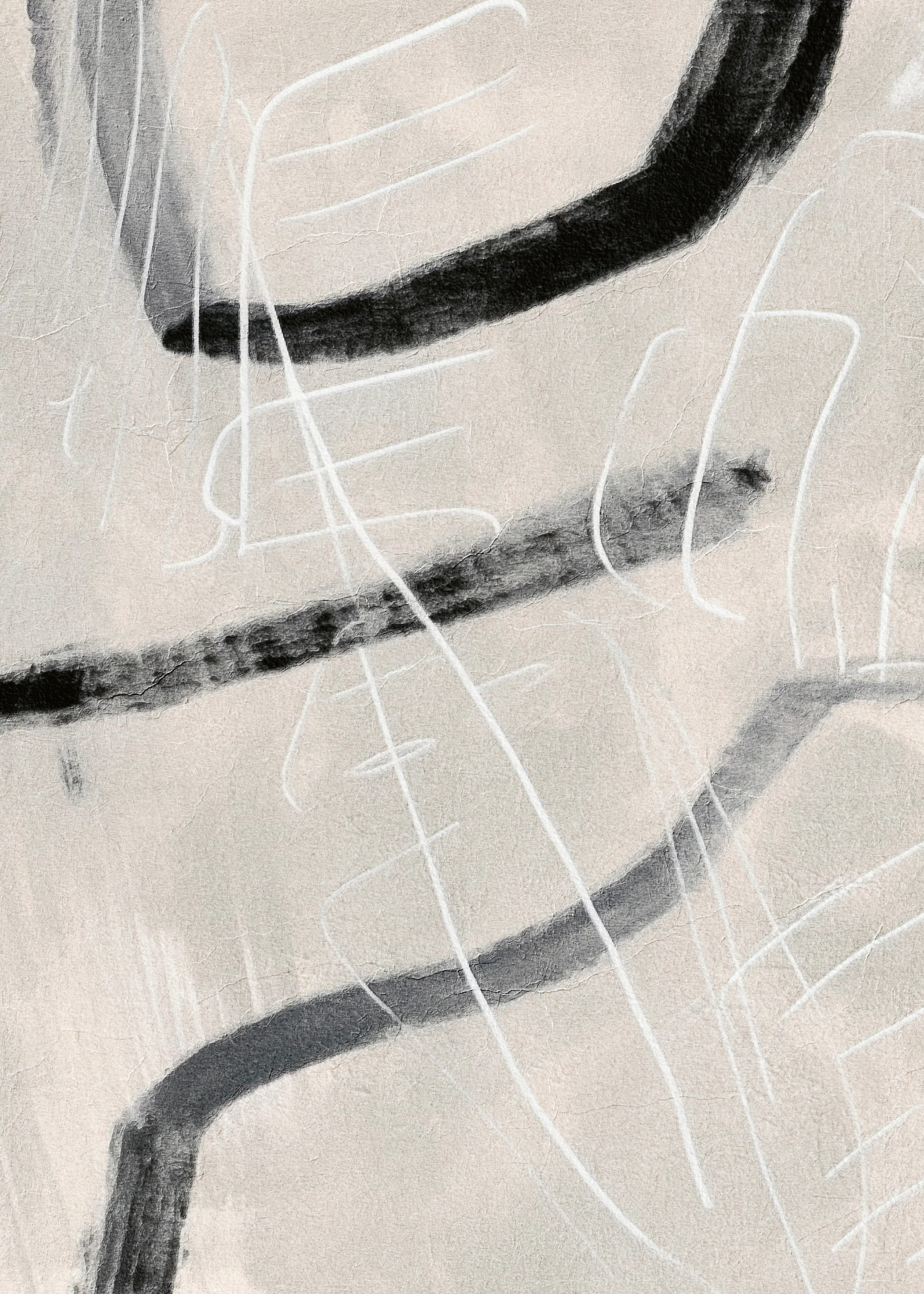 Alma - Dynamic Abstract Curves Print 0