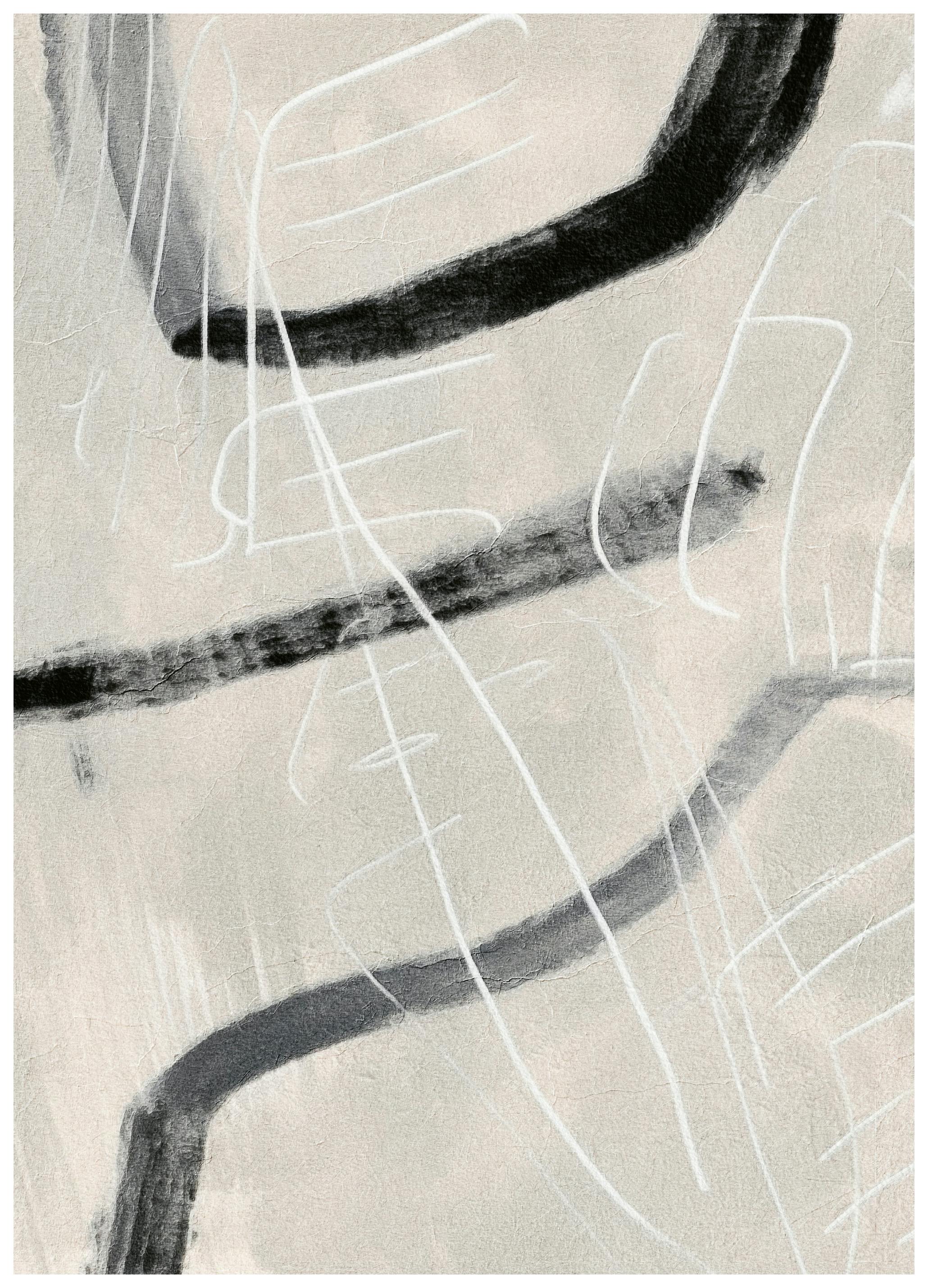 Alma - Curve Astratte Dinamiche Poster (50x50 cm) - Poster Store