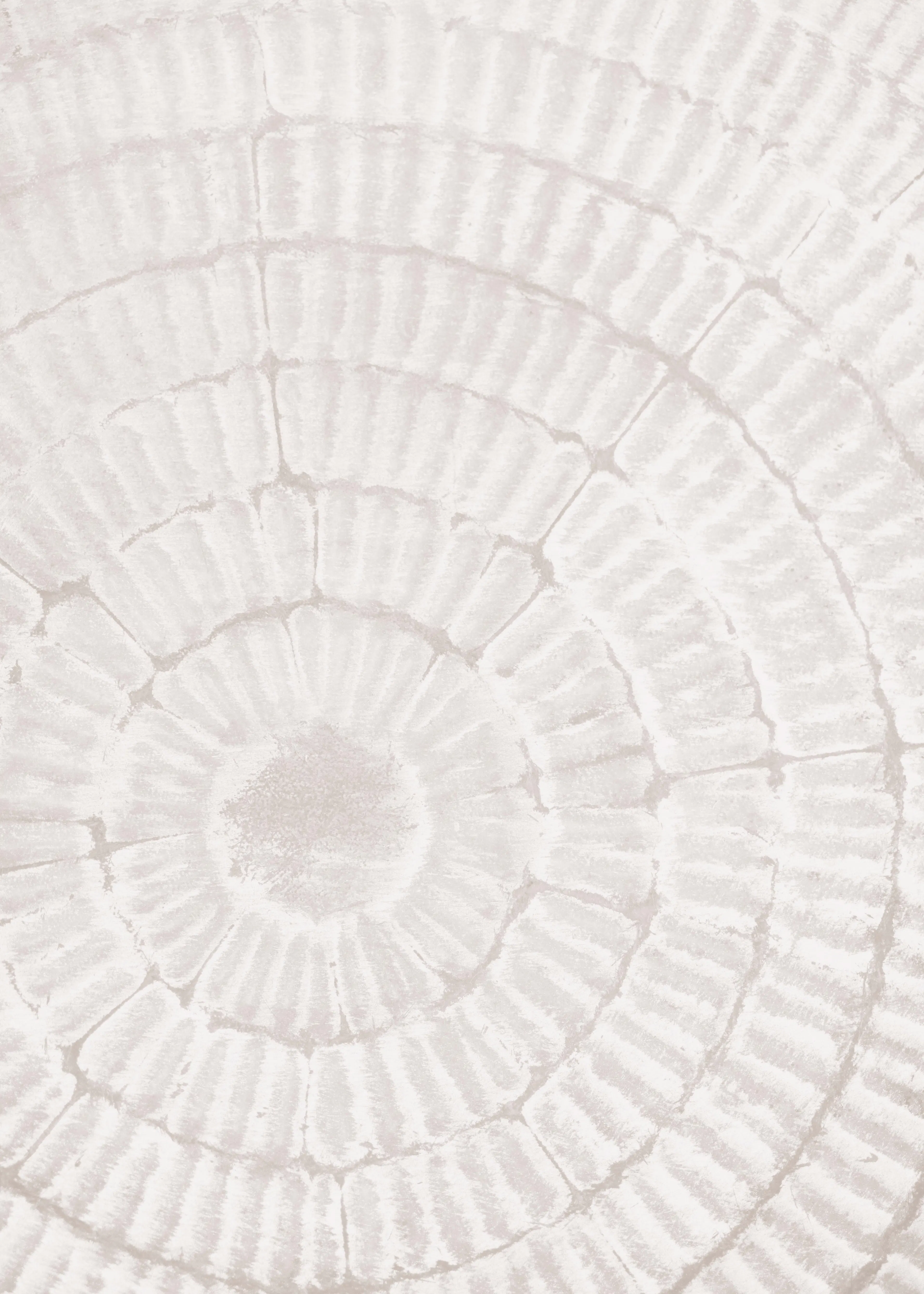 Pictufy Studio III - White Ripple Swirl Poster 0