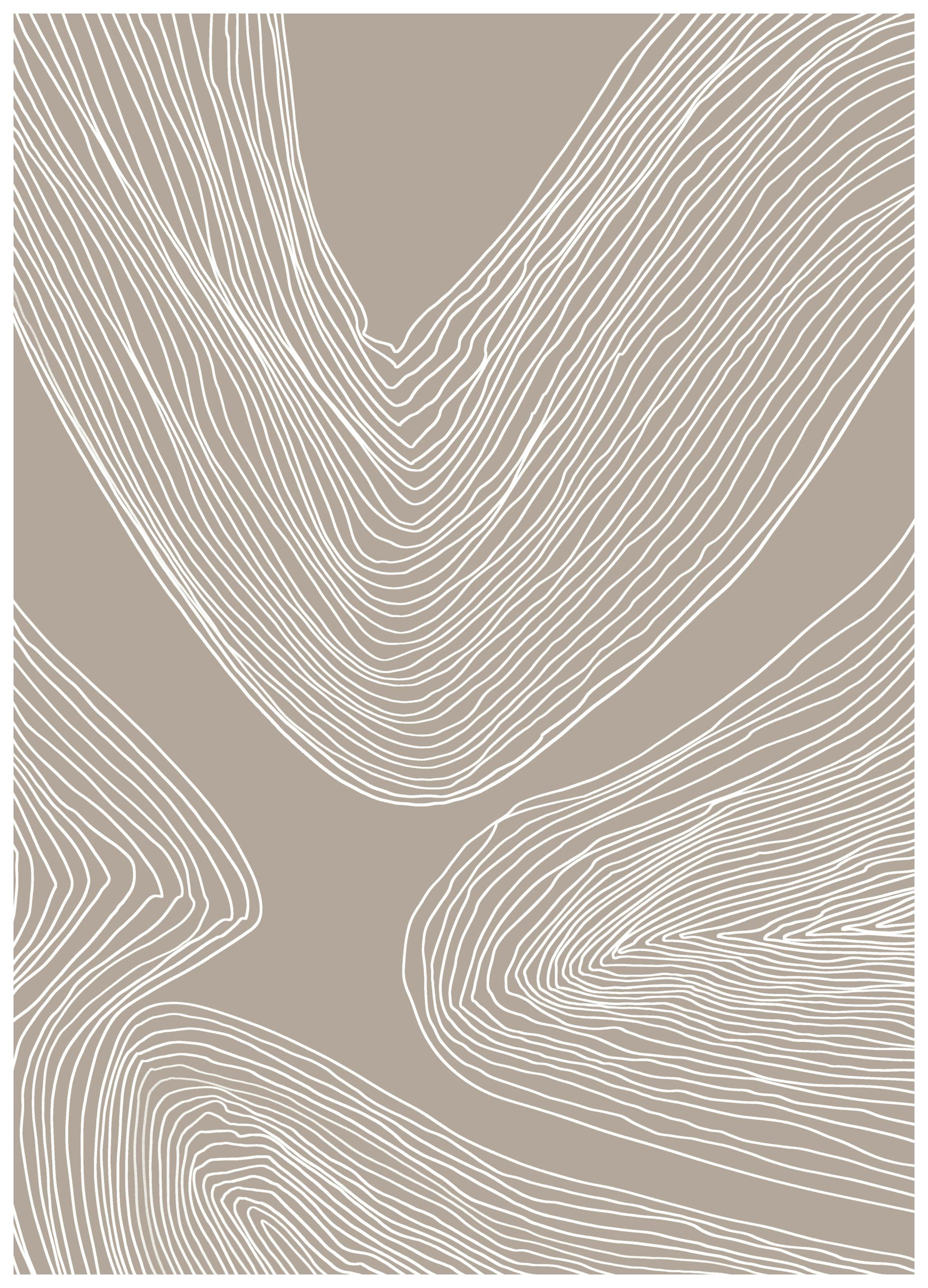 Melloi Art Prints - Flowing Abstract Lines Poster (100x150 cm) - Poster Store