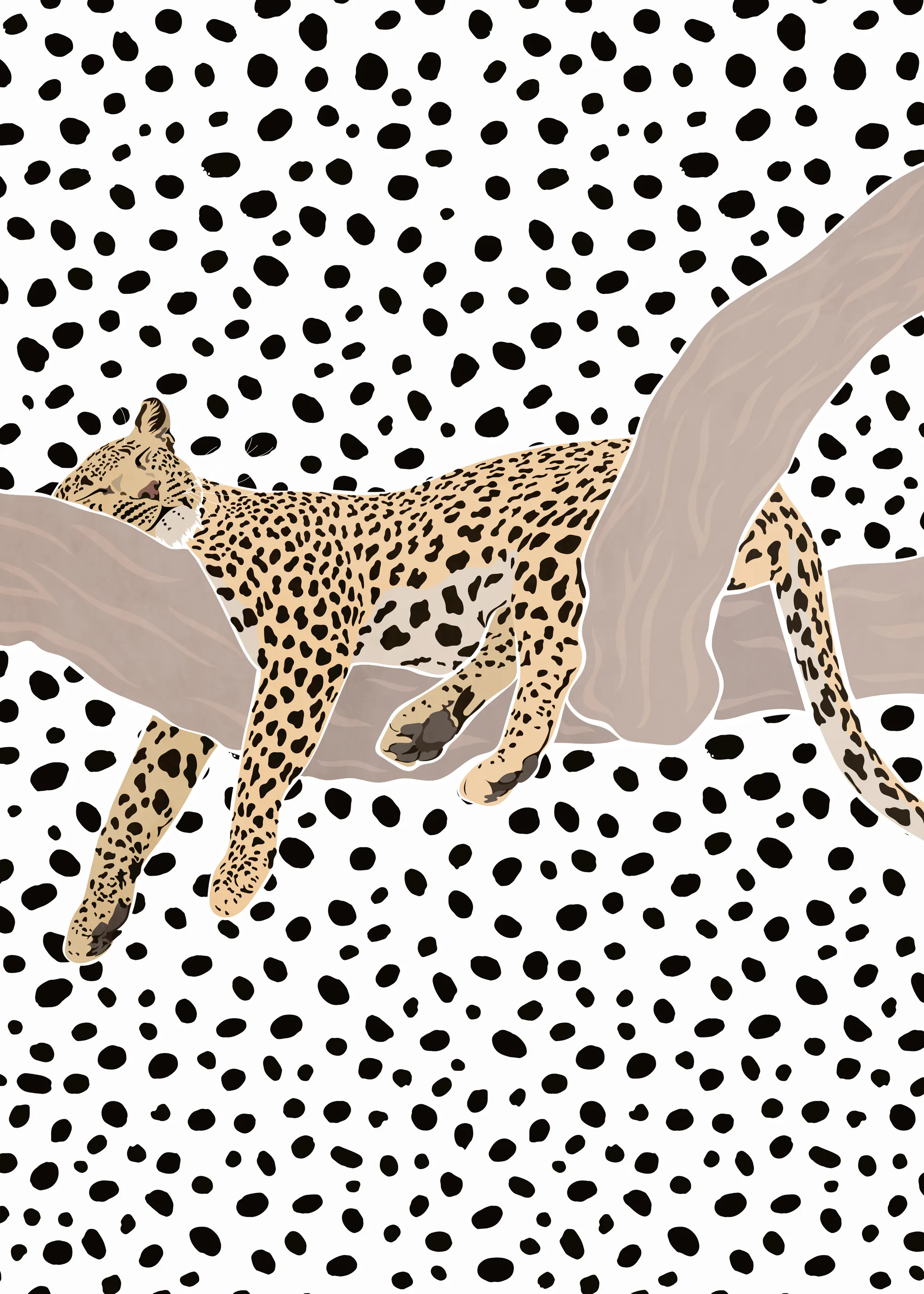 Sarah Manovski - Hvilende Leopardflekker Plakat 0
