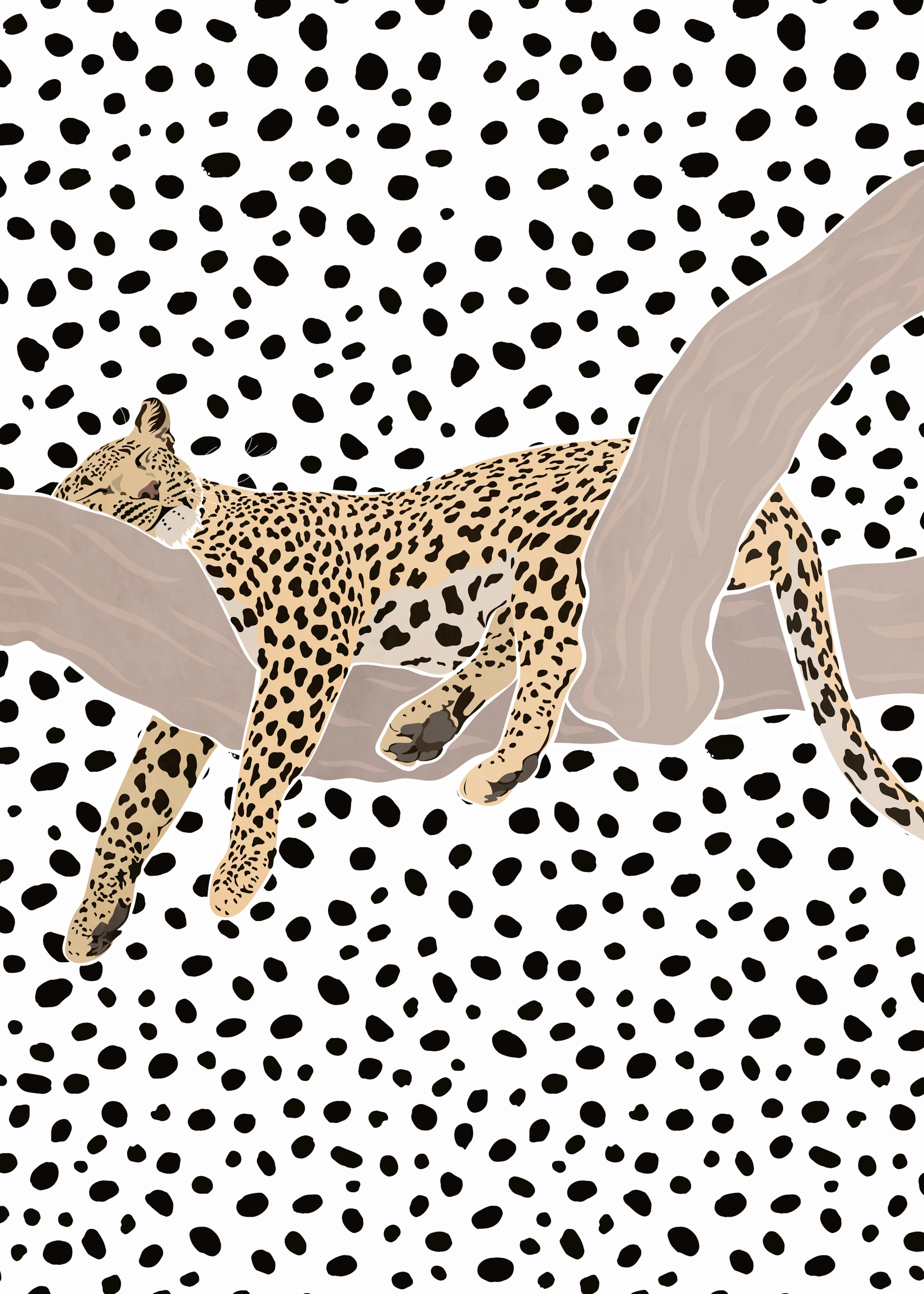 Sarah Manovski - Hvilende Leopardflekker Plakat 0