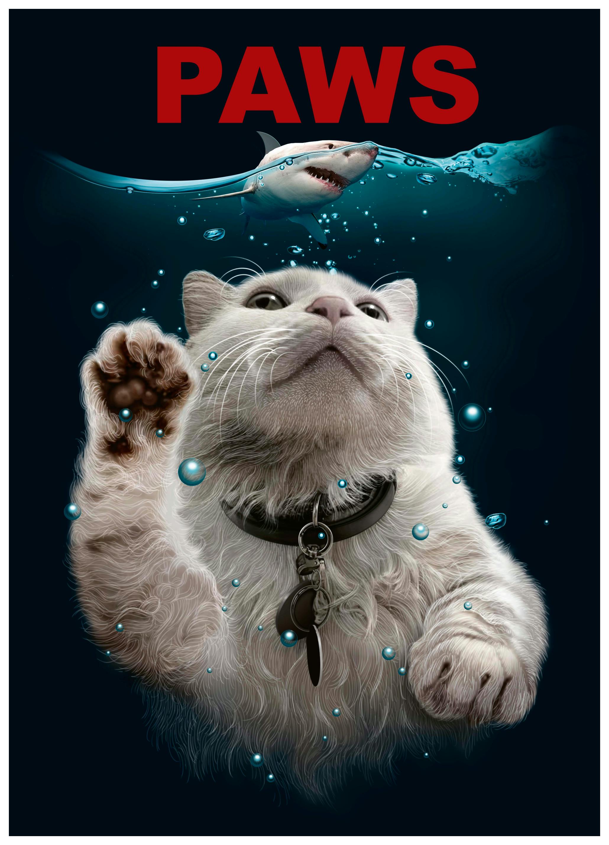 Adam Lawless - Funny Cat Shark Encounter Poster (70x100 cm) - Poster Store