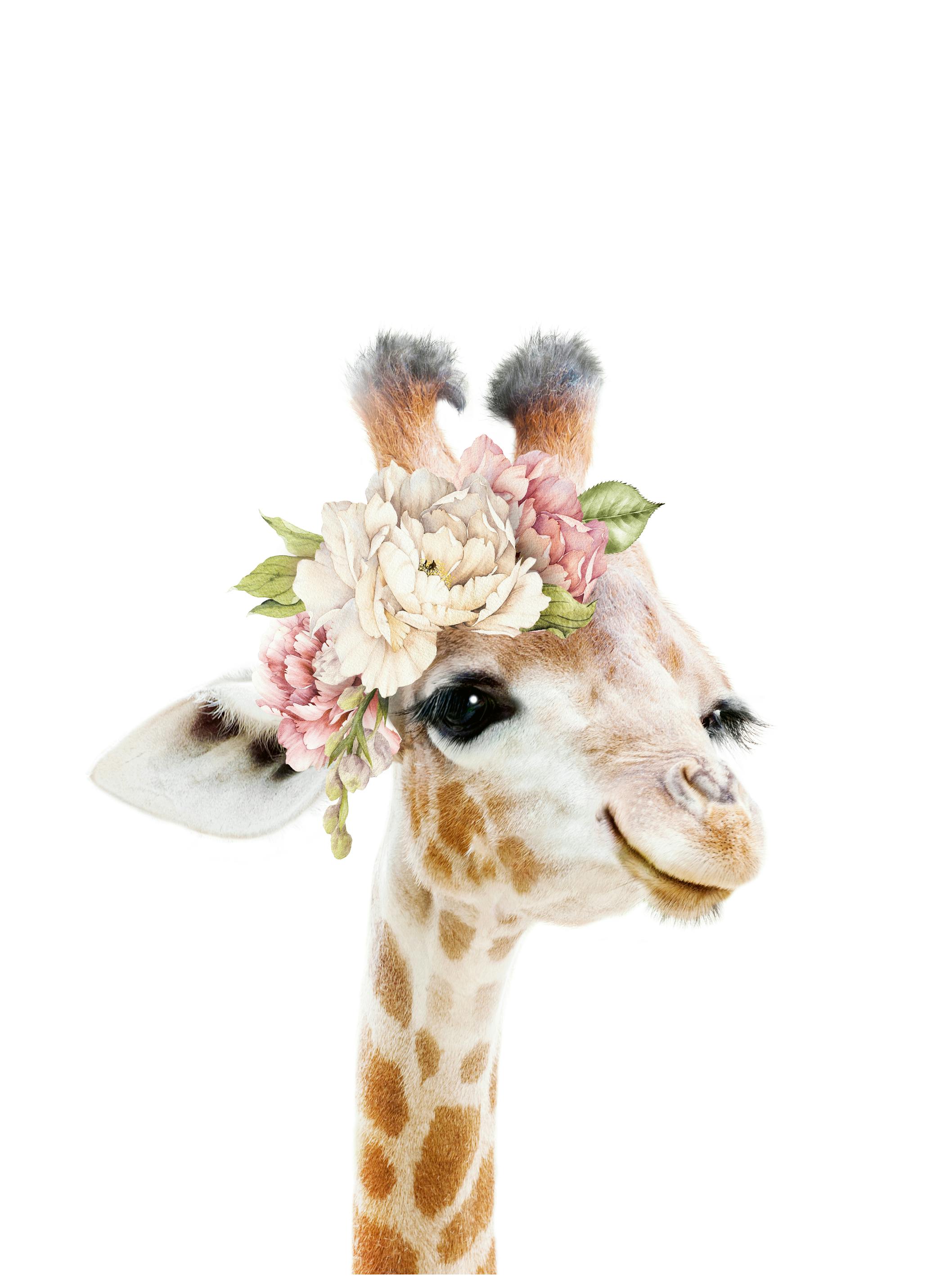 Lila & Lola - Bloemen Baby Giraffe Poster (50x70 cm) - Poster Store