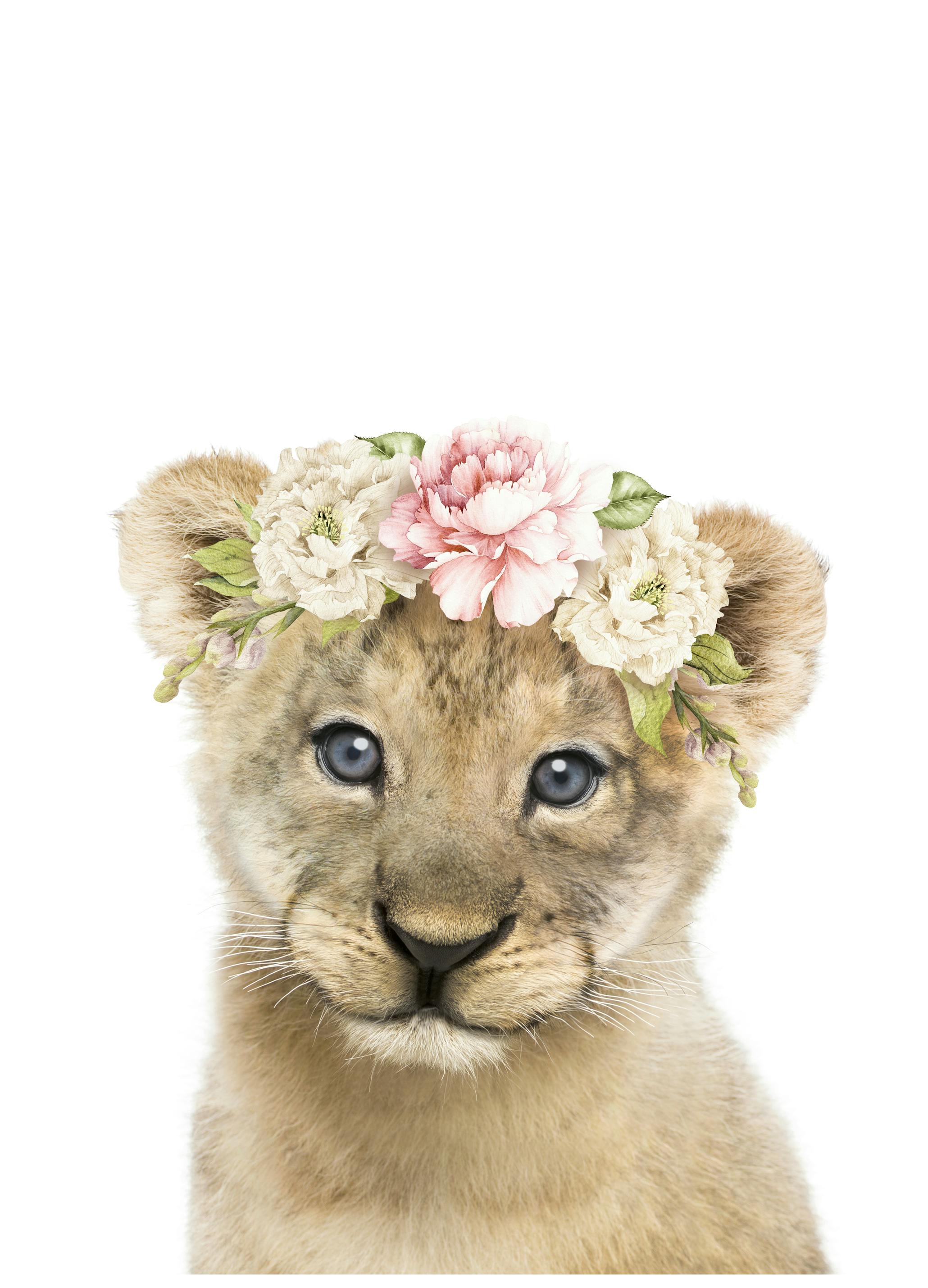 Lila & Lola - Baby Leeuw Bloemenkroon Poster (50x50 cm) - Poster Store