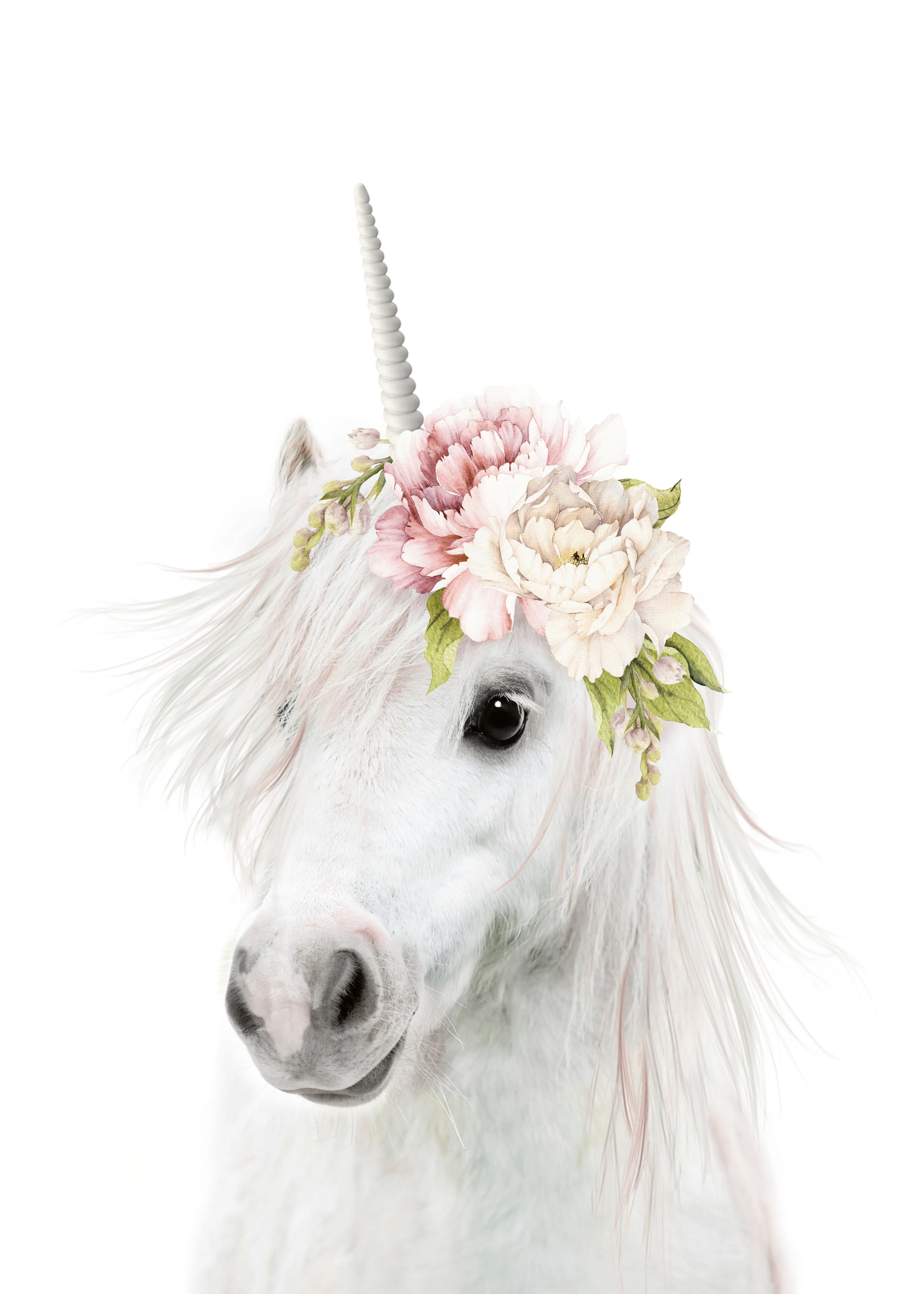 Lila & Lola - Unicornio Floral Mágico Póster 0
