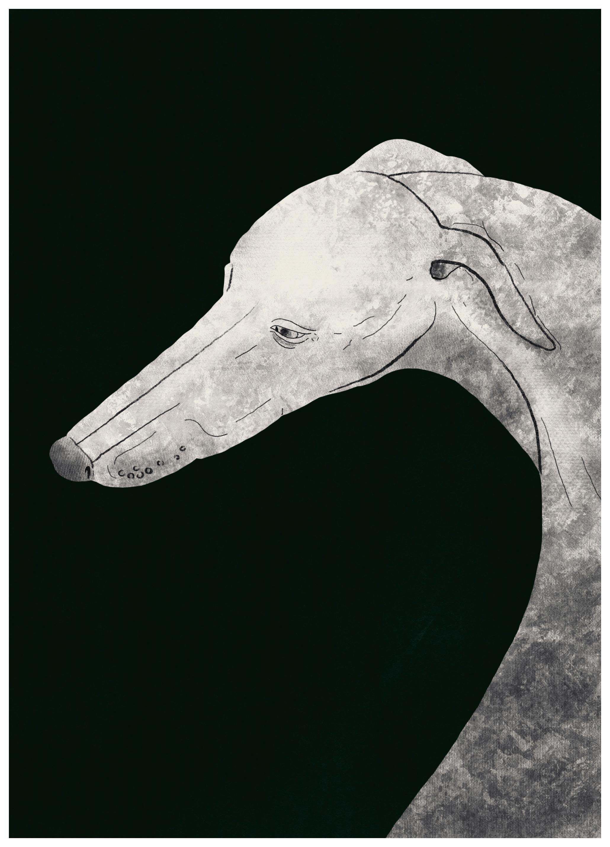 Little Dean - Disegno di Levriero Elegante Poster (50x70 cm) - Poster Store