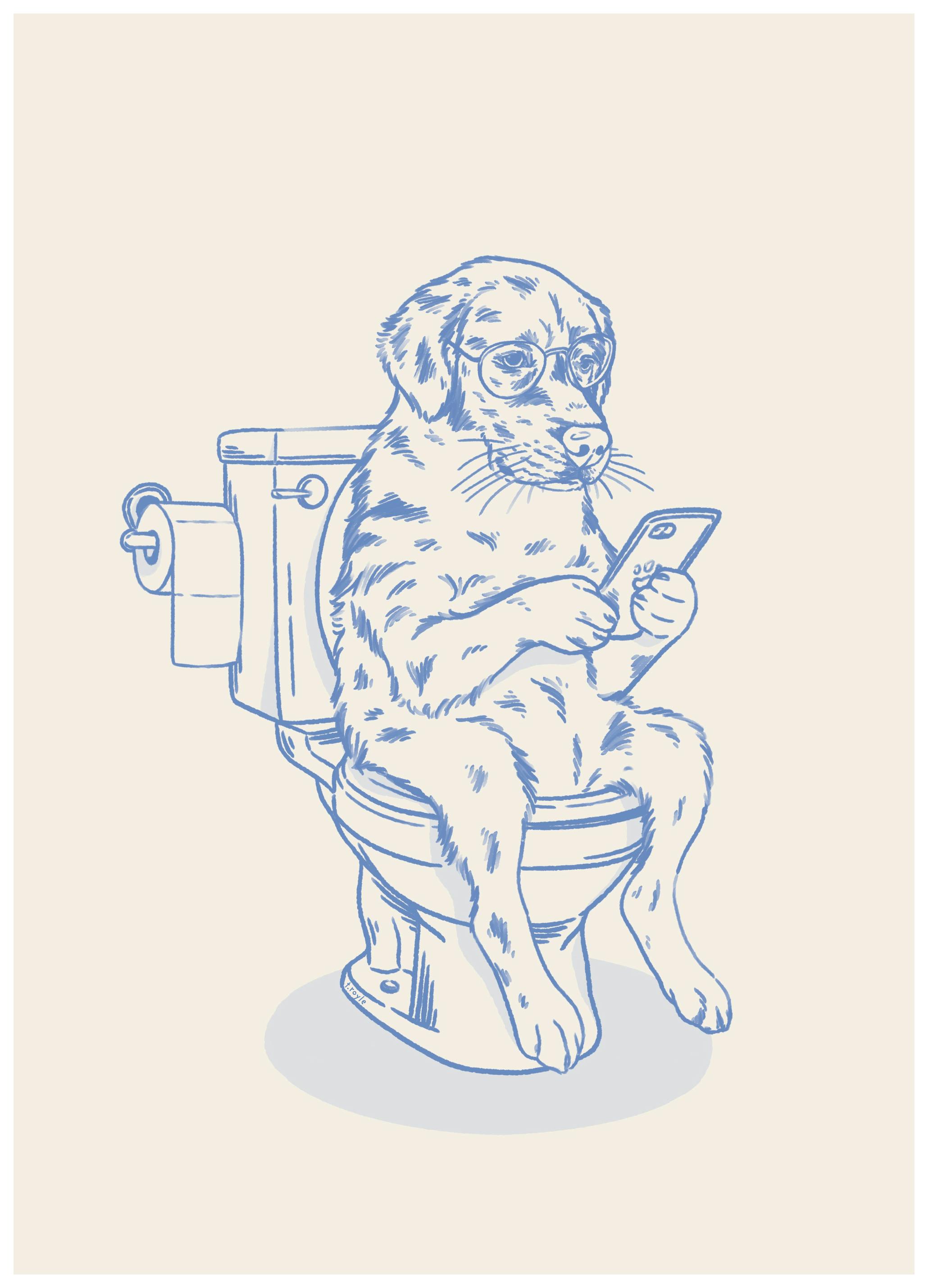 Tara Royle - Funny Dog On Toilet Print (50x70 cm) - Poster Store