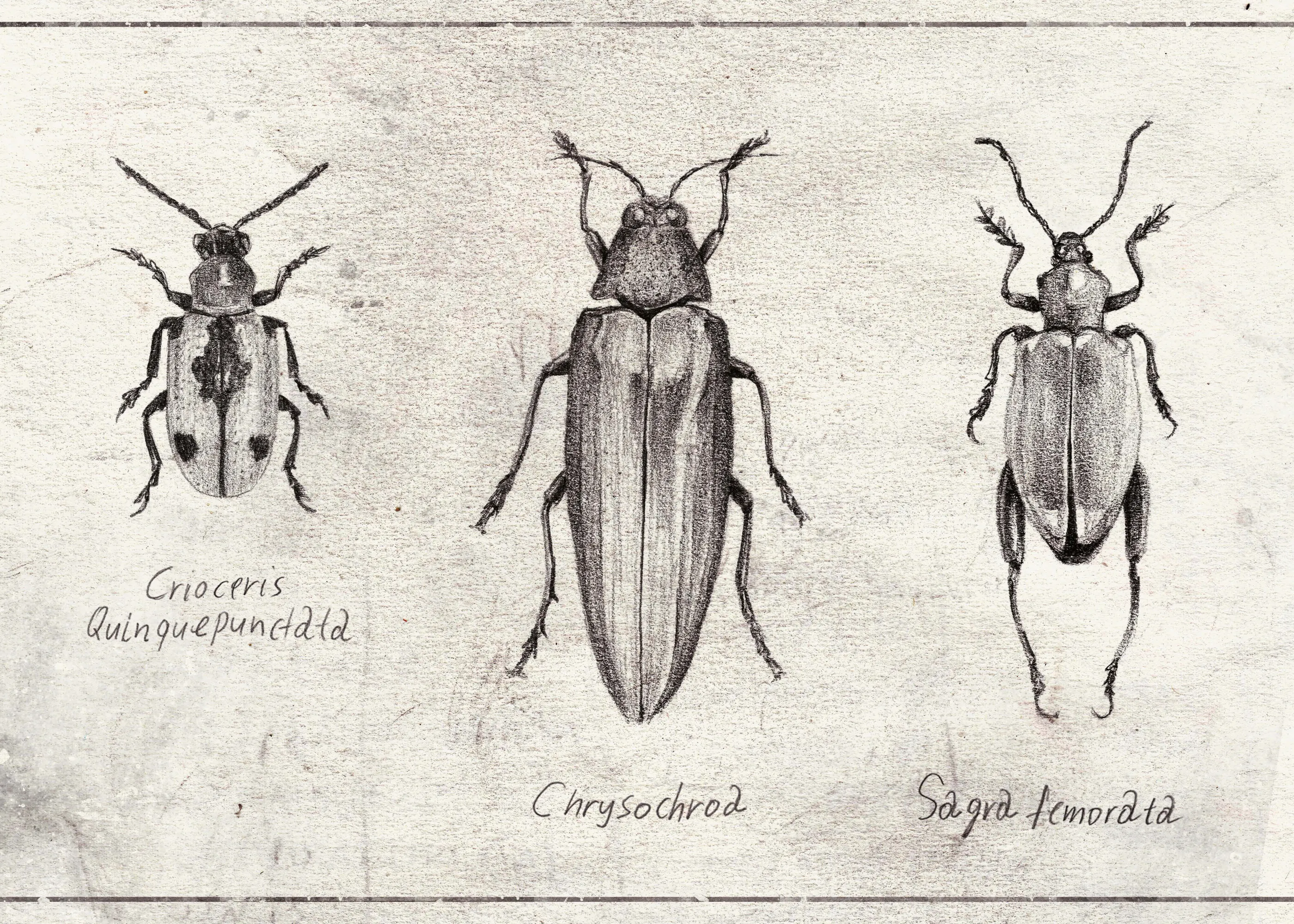 Mike Koubou - Insect Symphony Poster 0