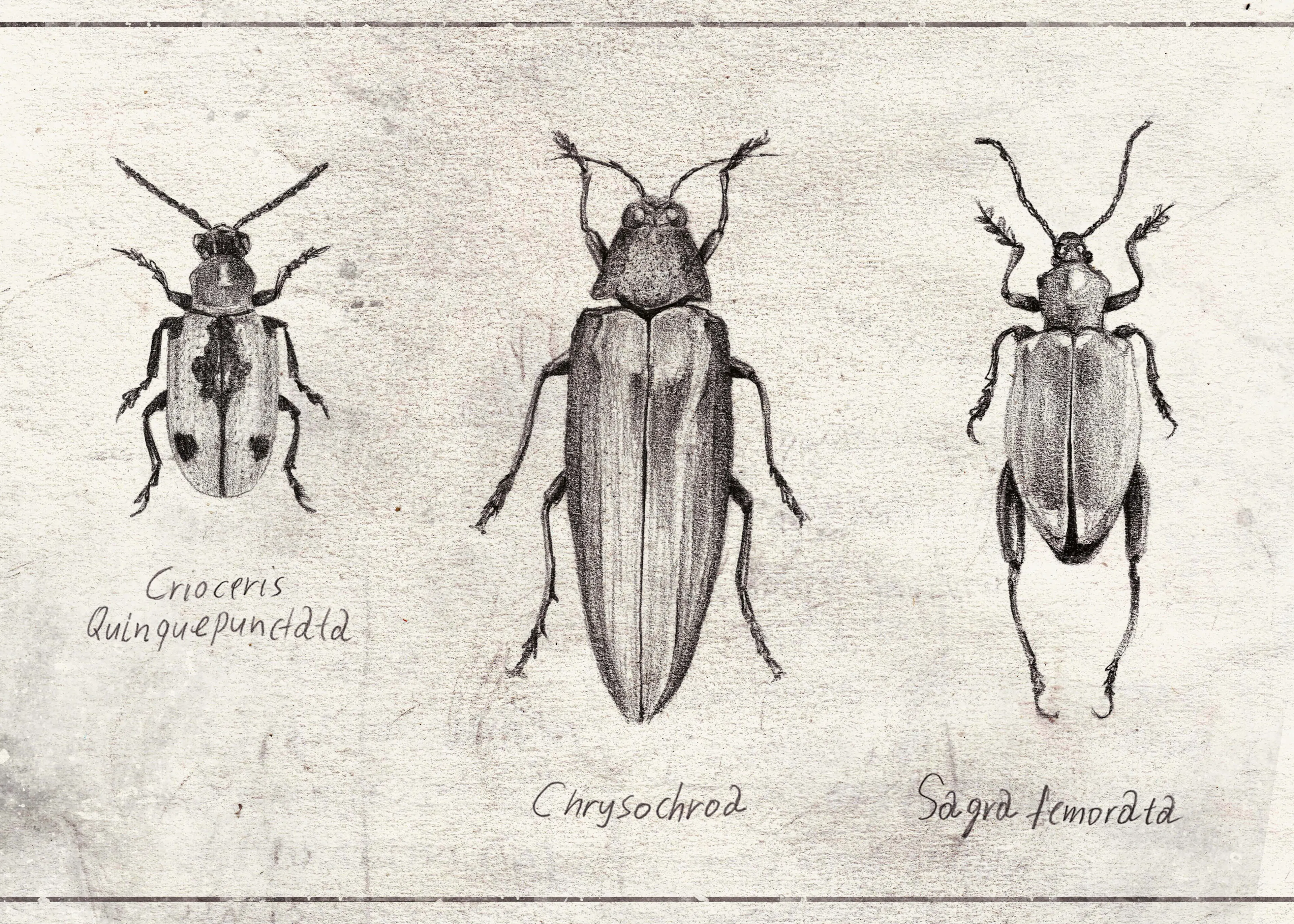 Mike Koubou - Insect Symphony Poster 0