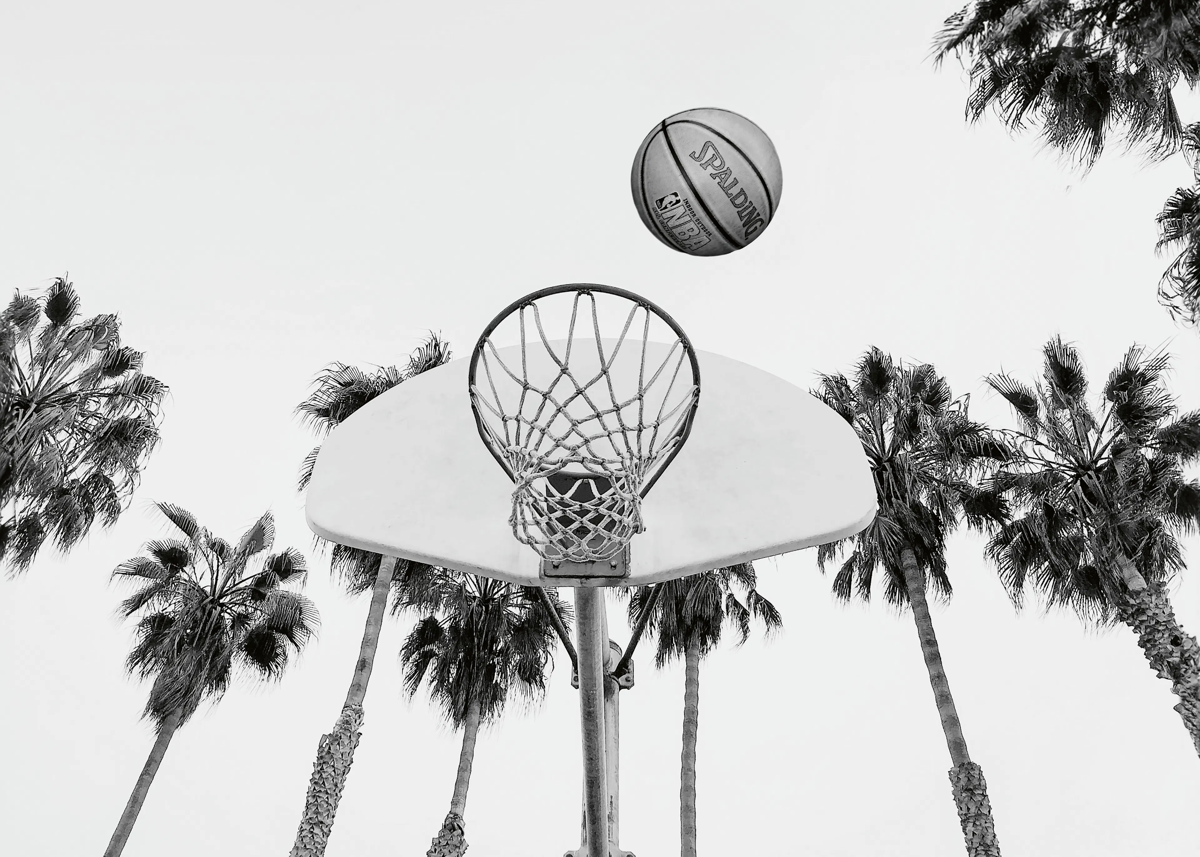 Kathrin Pienaar - Basketball Print 0