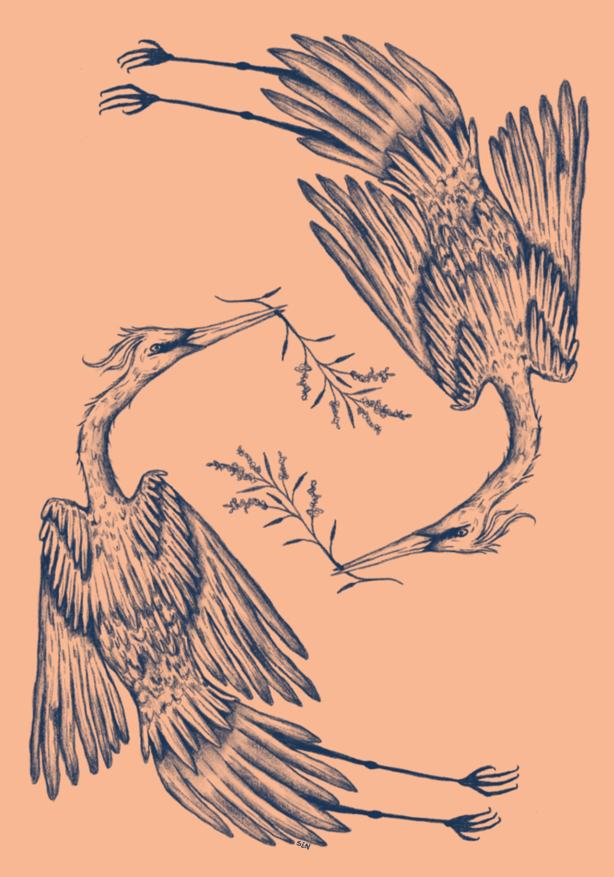 Senna-Mia Rahner Two Elegant Cranes ポスター | Poster Store JP