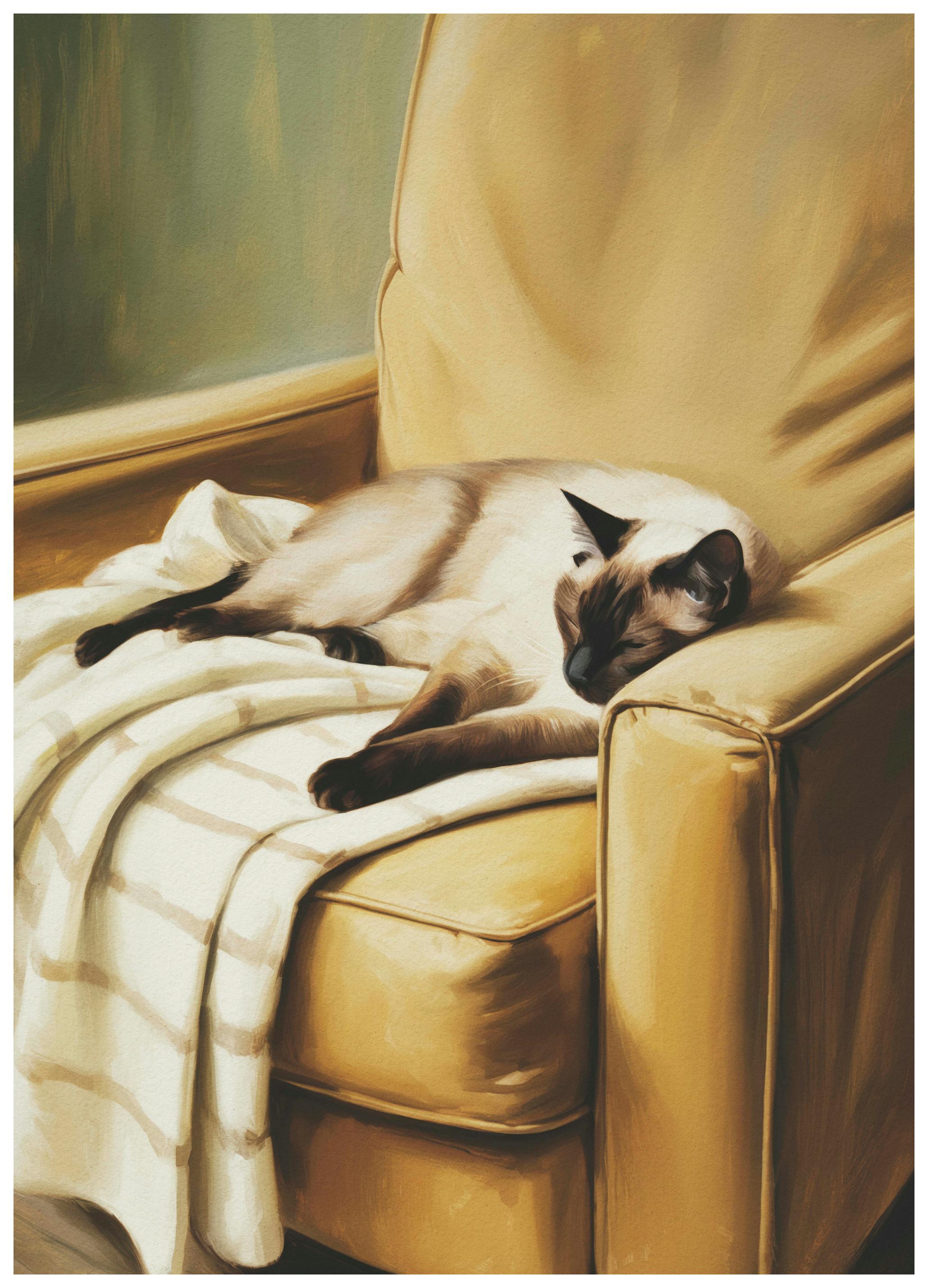 Andreas Magnusson - Cozy Cat Nap Poster (40x50 cm) - Poster Store