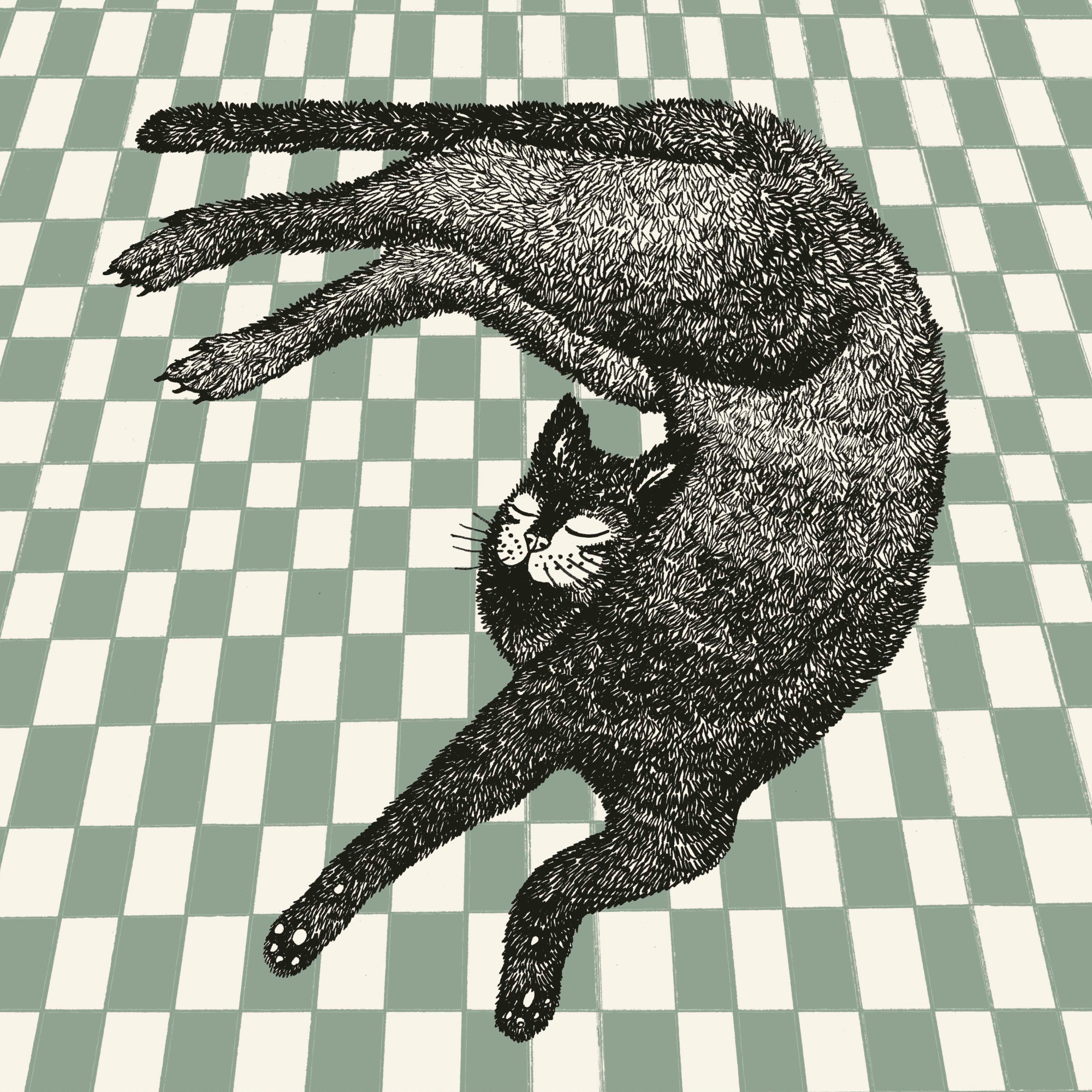 Walentynowicz Cozy Cat Nap Art Poster | Poster Store AU