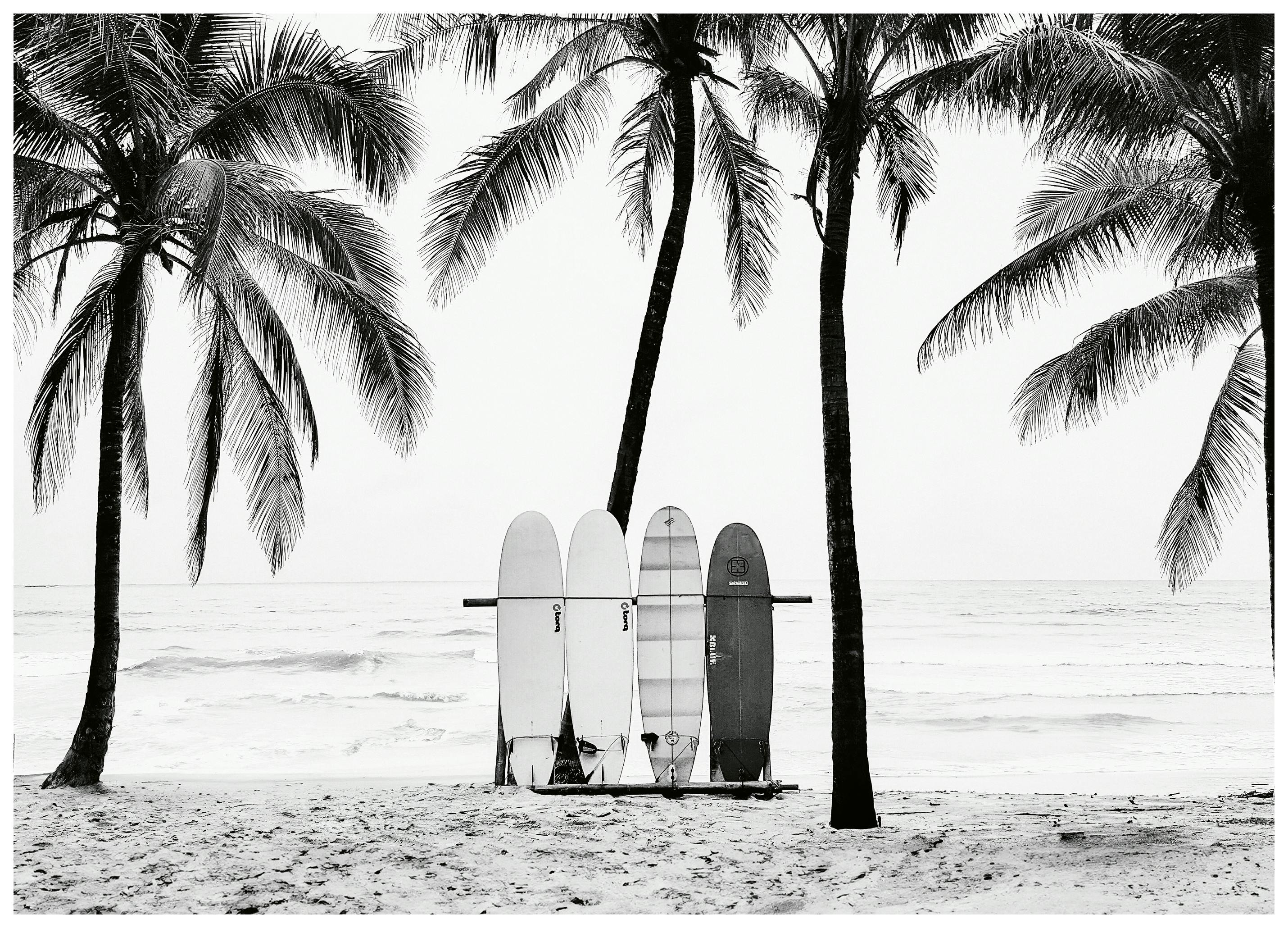Kathrin Pienaar - The Boards Poster (50x70 cm) - Poster Store