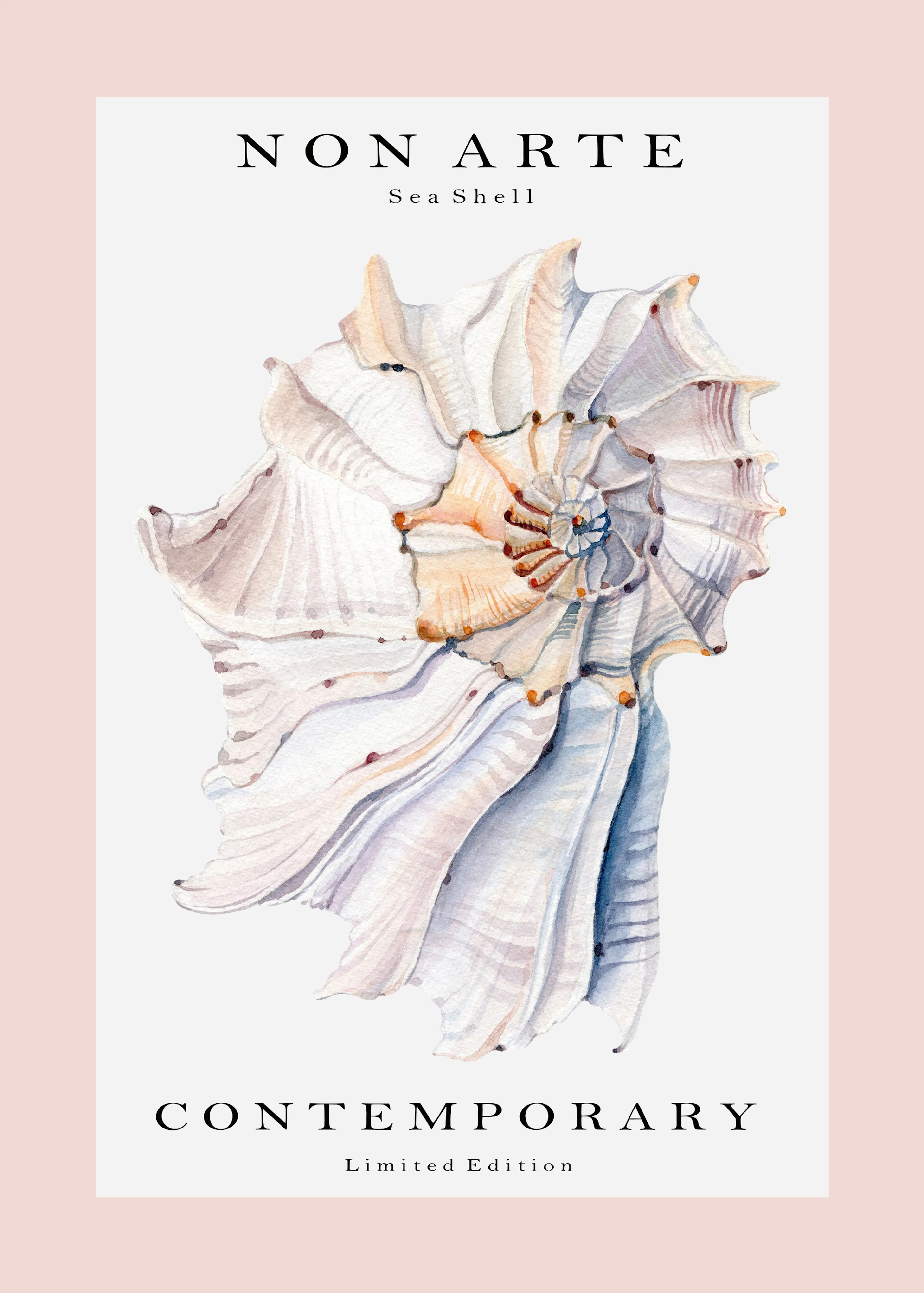 Rikke Løndager Boisen - Contemporary Spiral Shell Print 0
