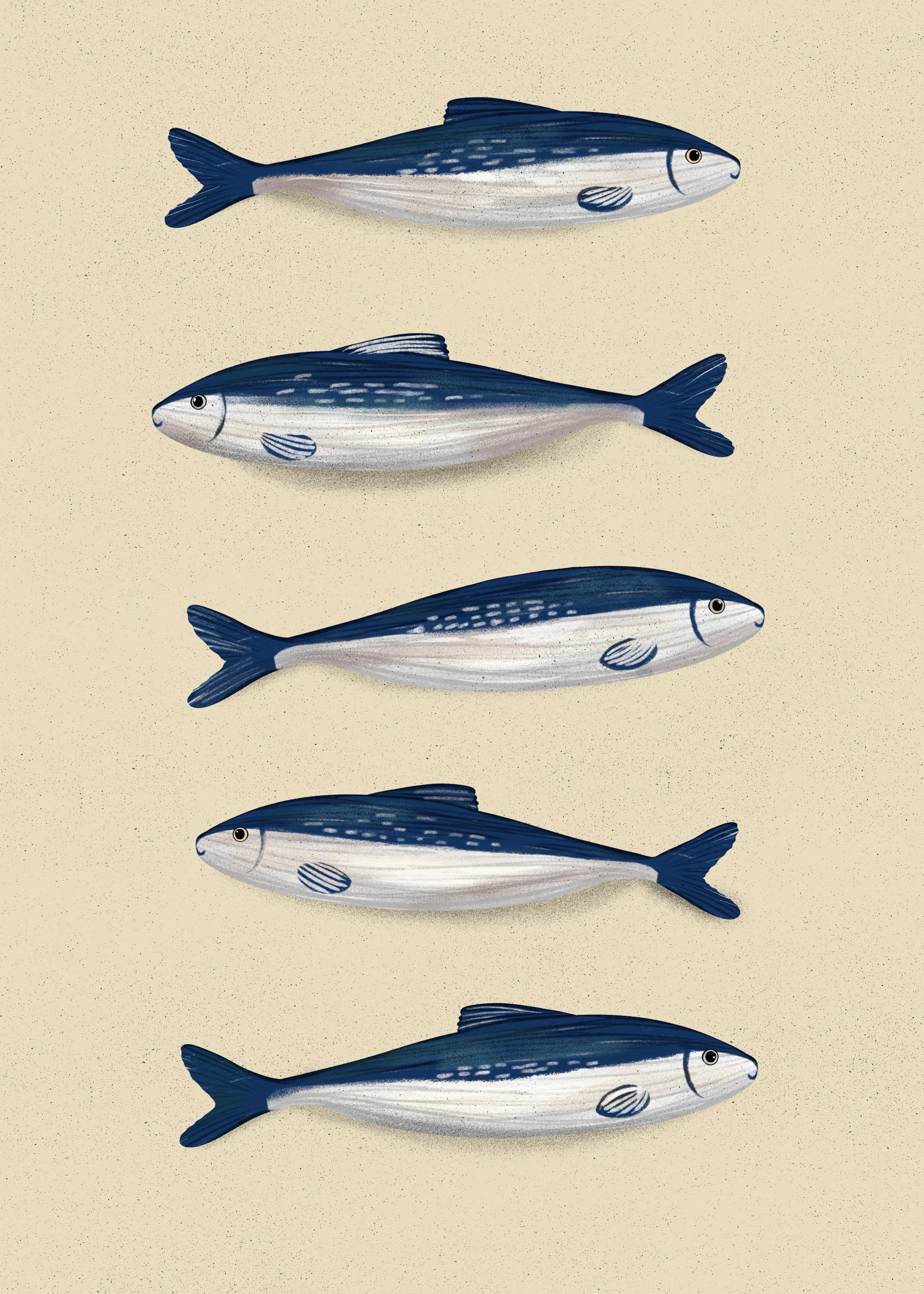 EMELIEmaria - Motivo Sardine Blu Poster 0