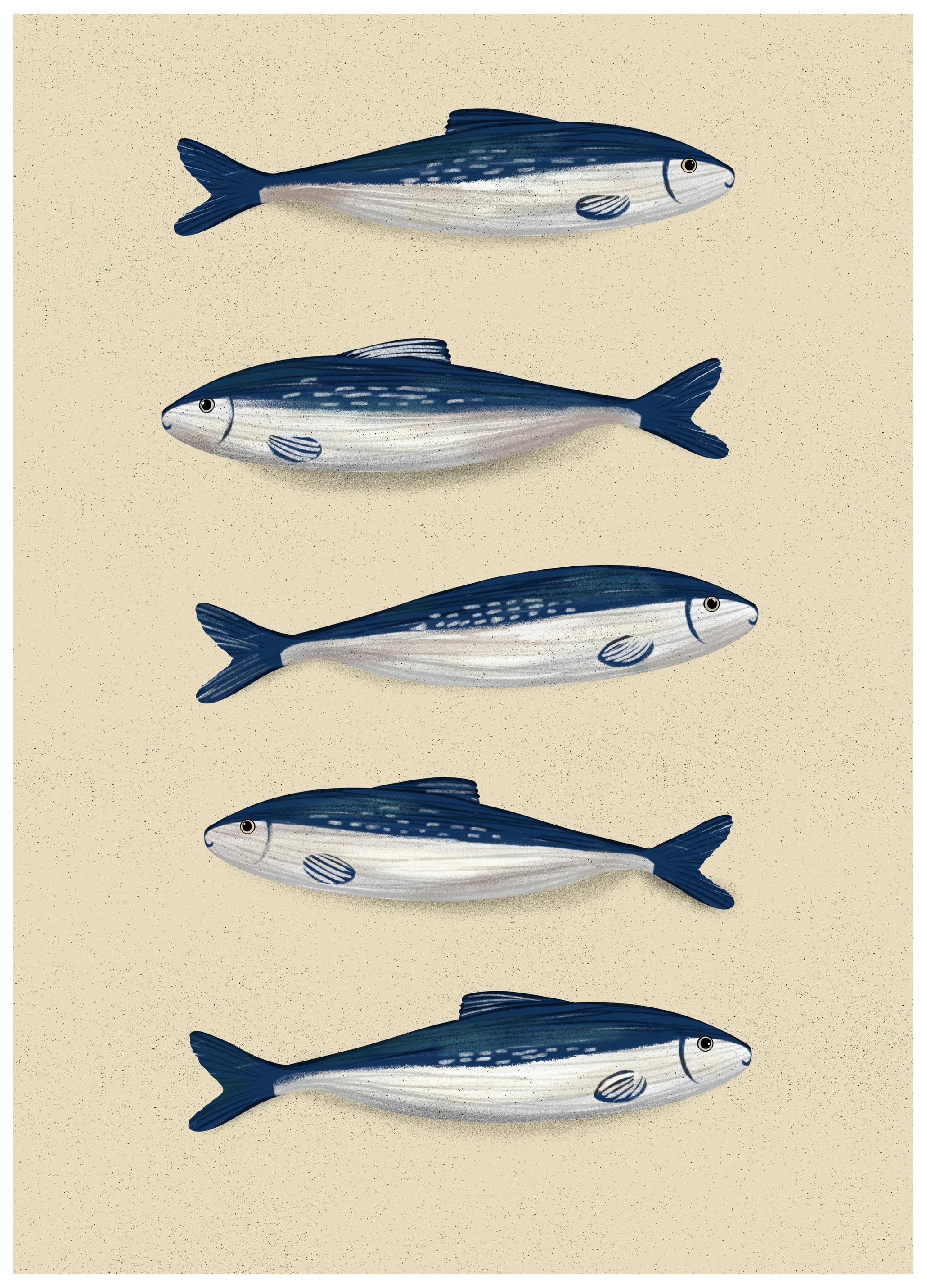 EMELIEmaria - Blue Sardines Pattern Poster (70x100 cm) - Poster Store