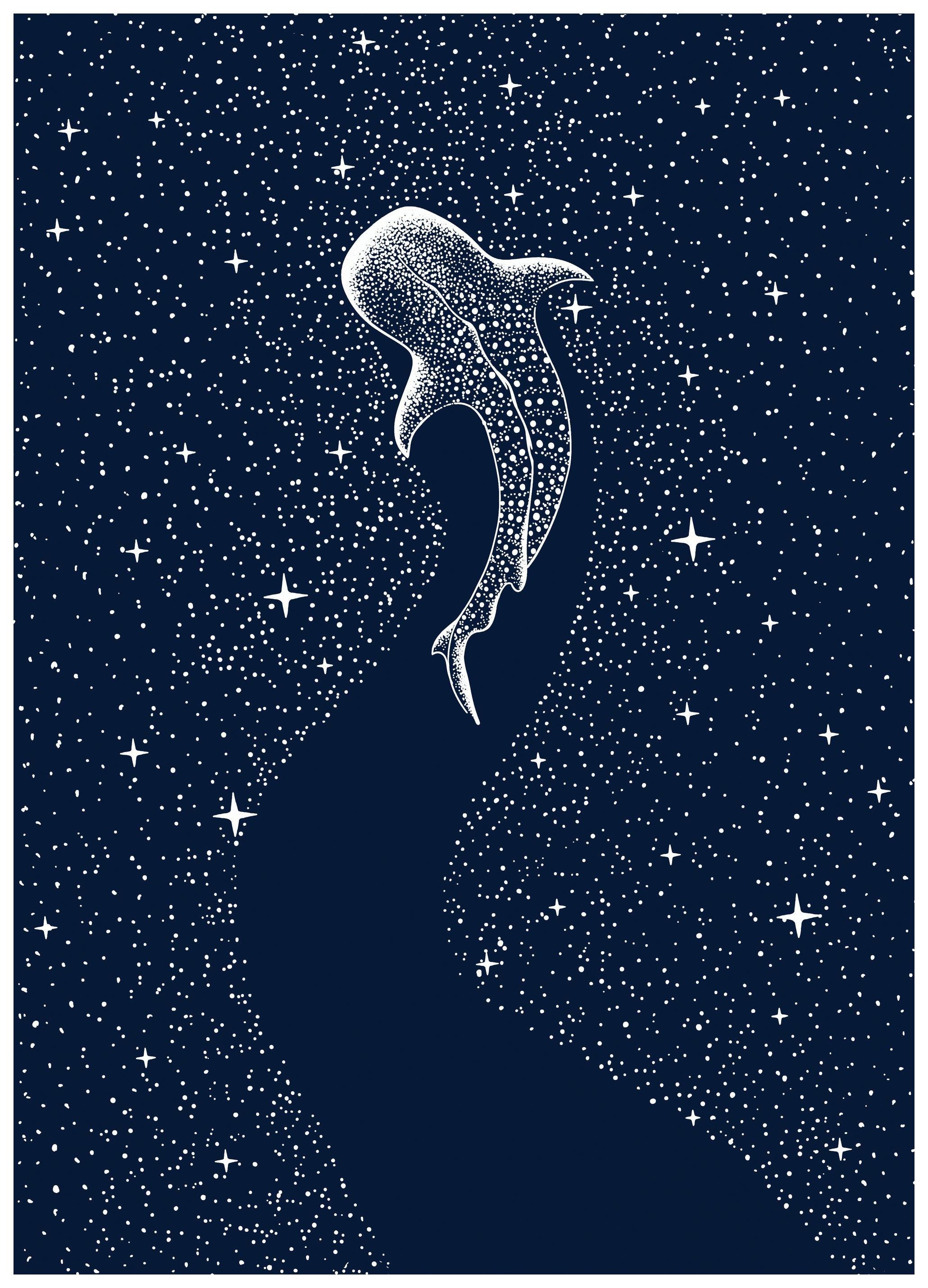 Alirıza ÇAKIR - Walvishaai Kosmische Reis Poster (50x70 cm) - Poster Store