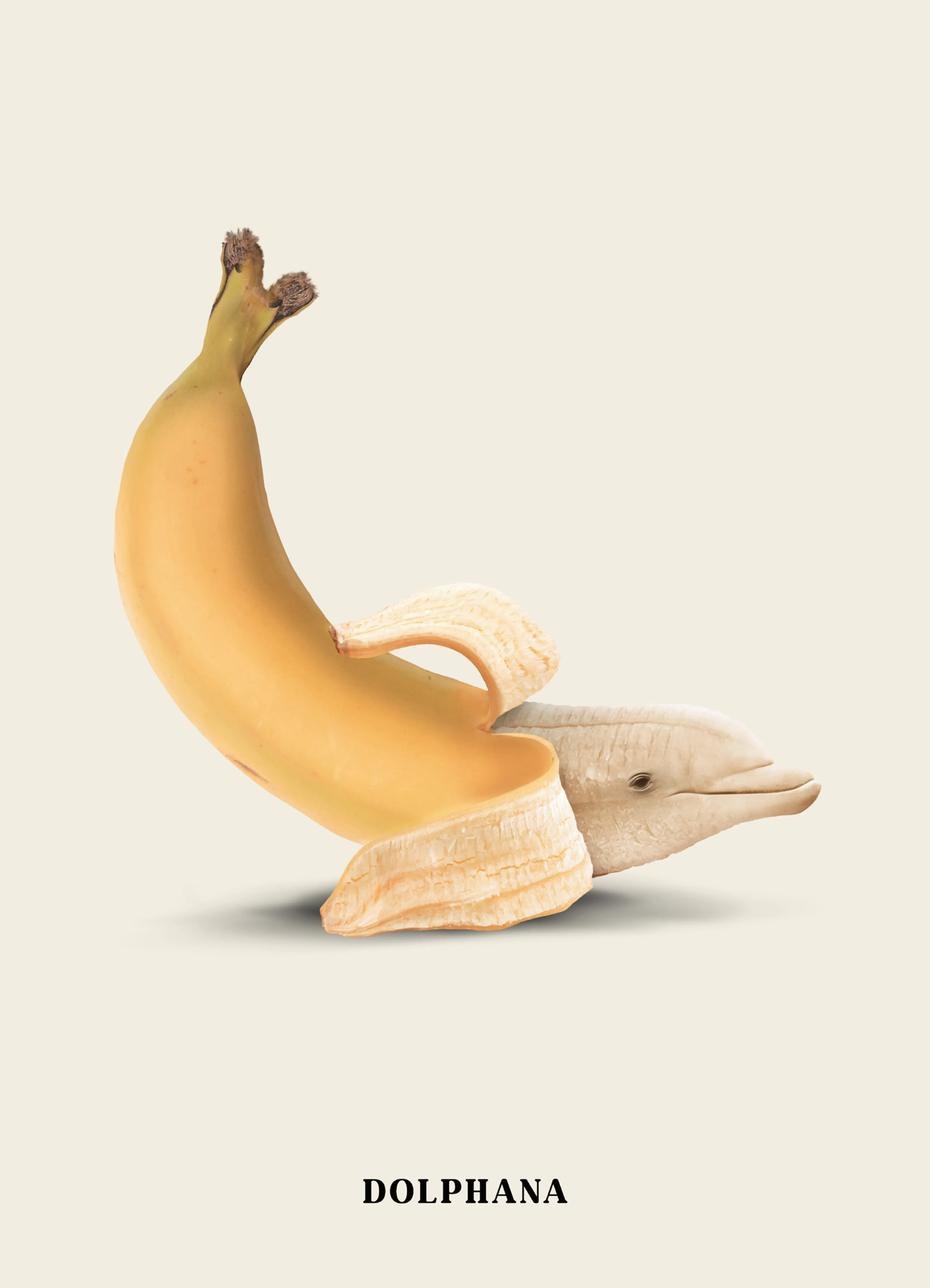 Product image: 1