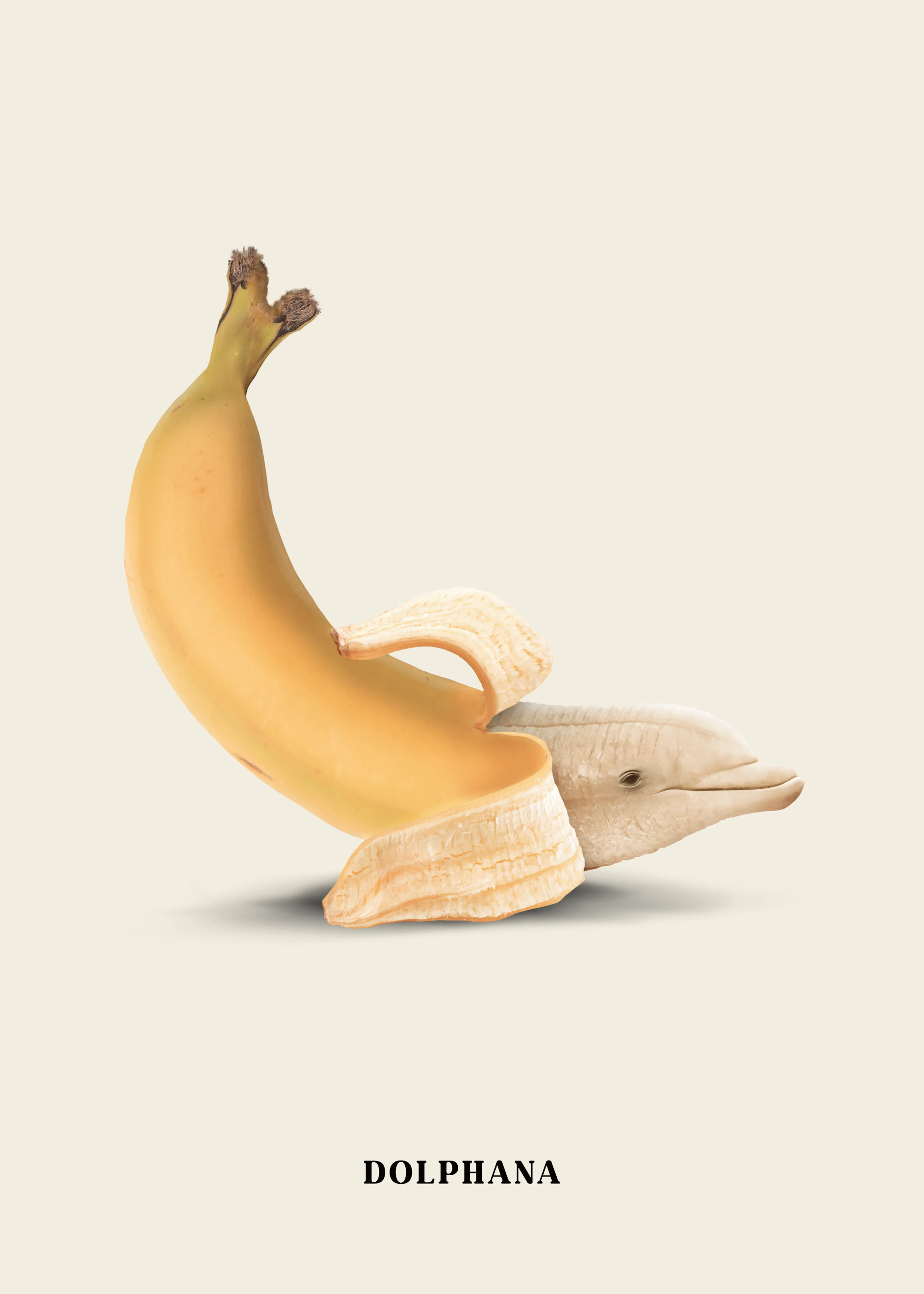 Jonas Loose - Dolphana Poster 0